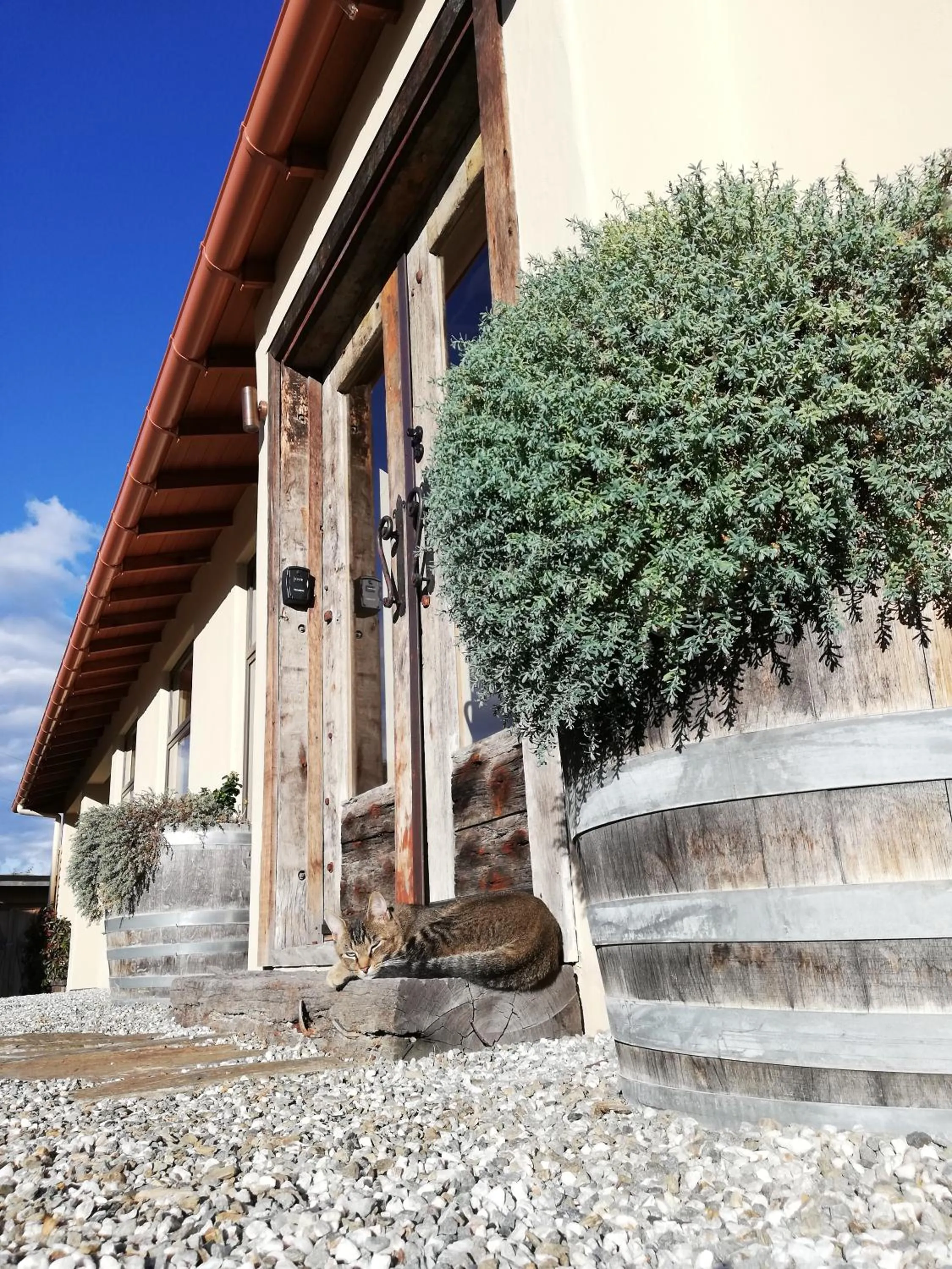 Facade/entrance in Bannockburn House