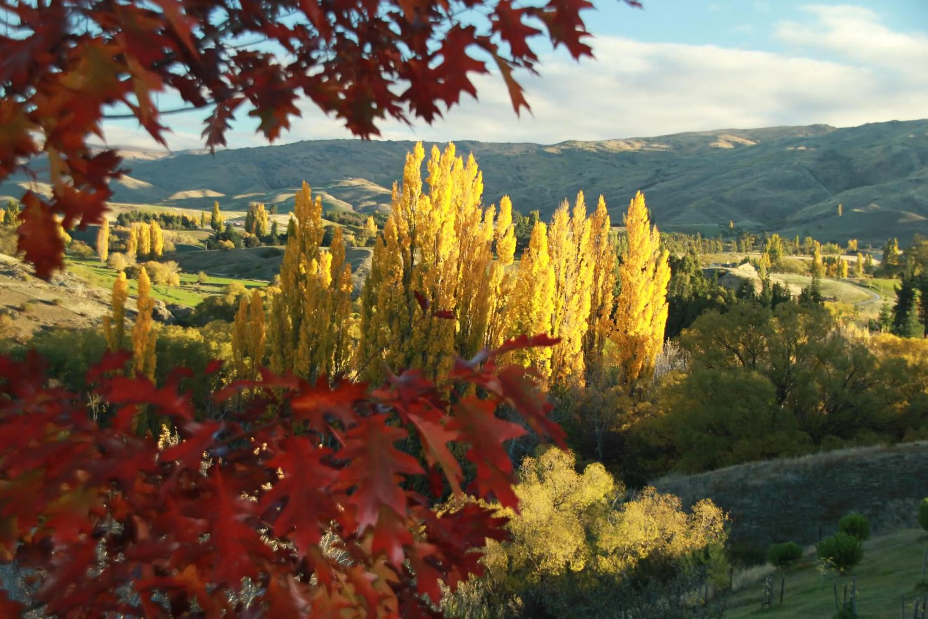 Day in Bannockburn House