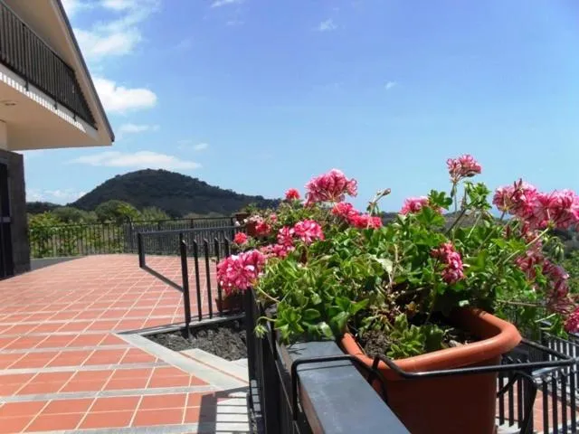 Balcony/Terrace in Etna Hut