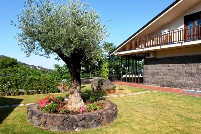 Garden in Etna Hut