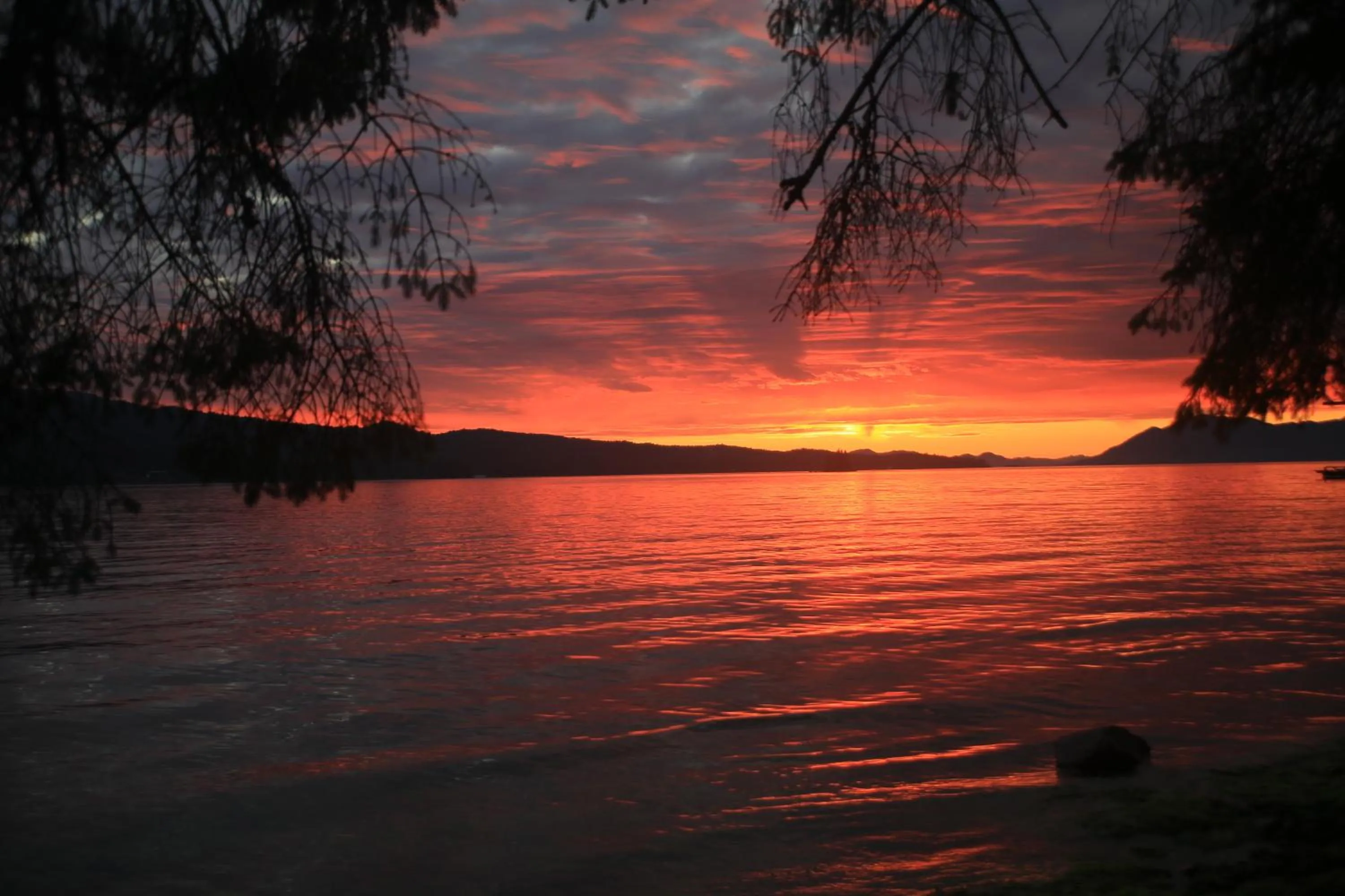 Sea view in Black Bear Inn