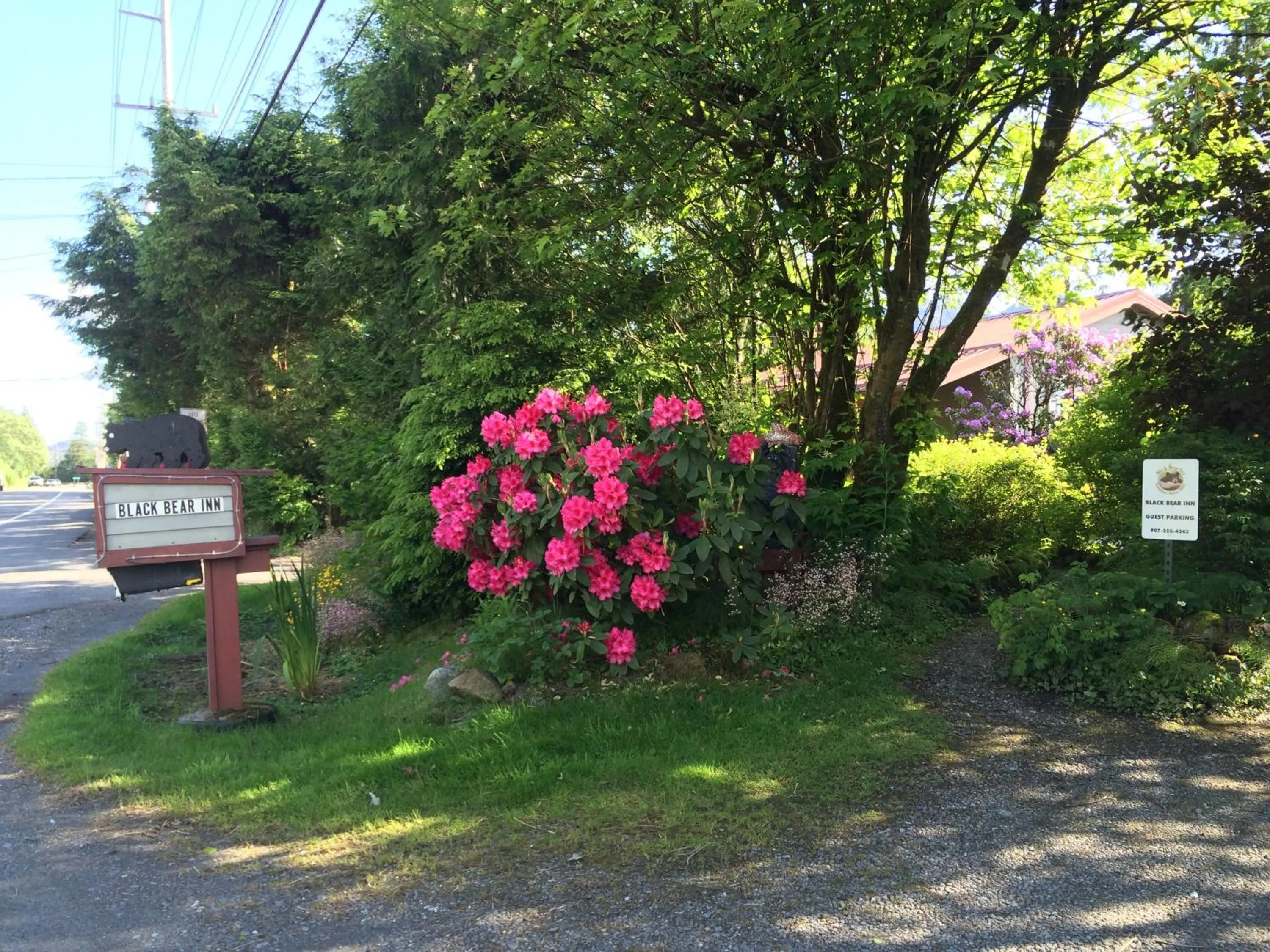 Garden in Black Bear Inn