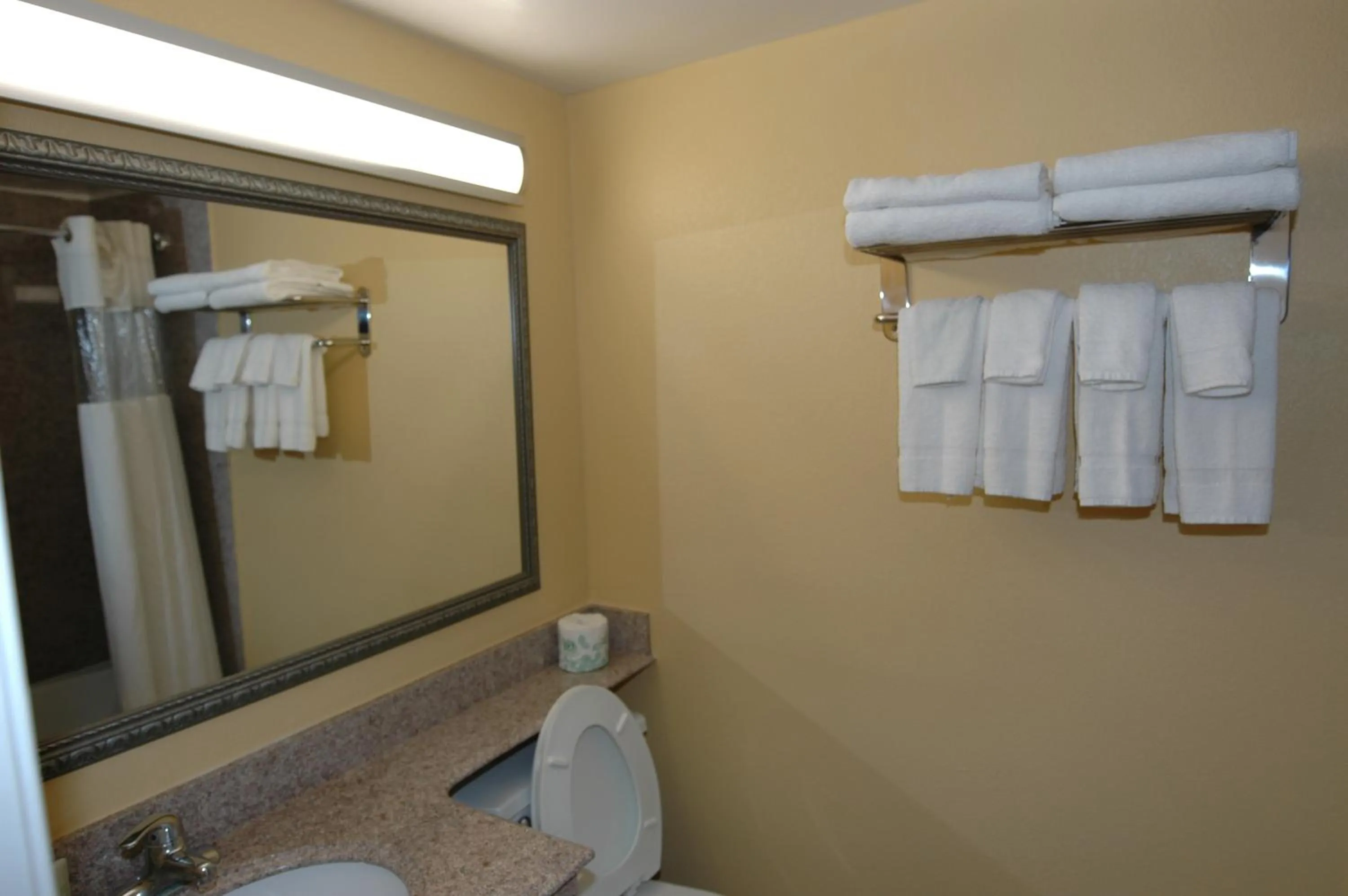 Bathroom in Ambassadors Inn & Suites