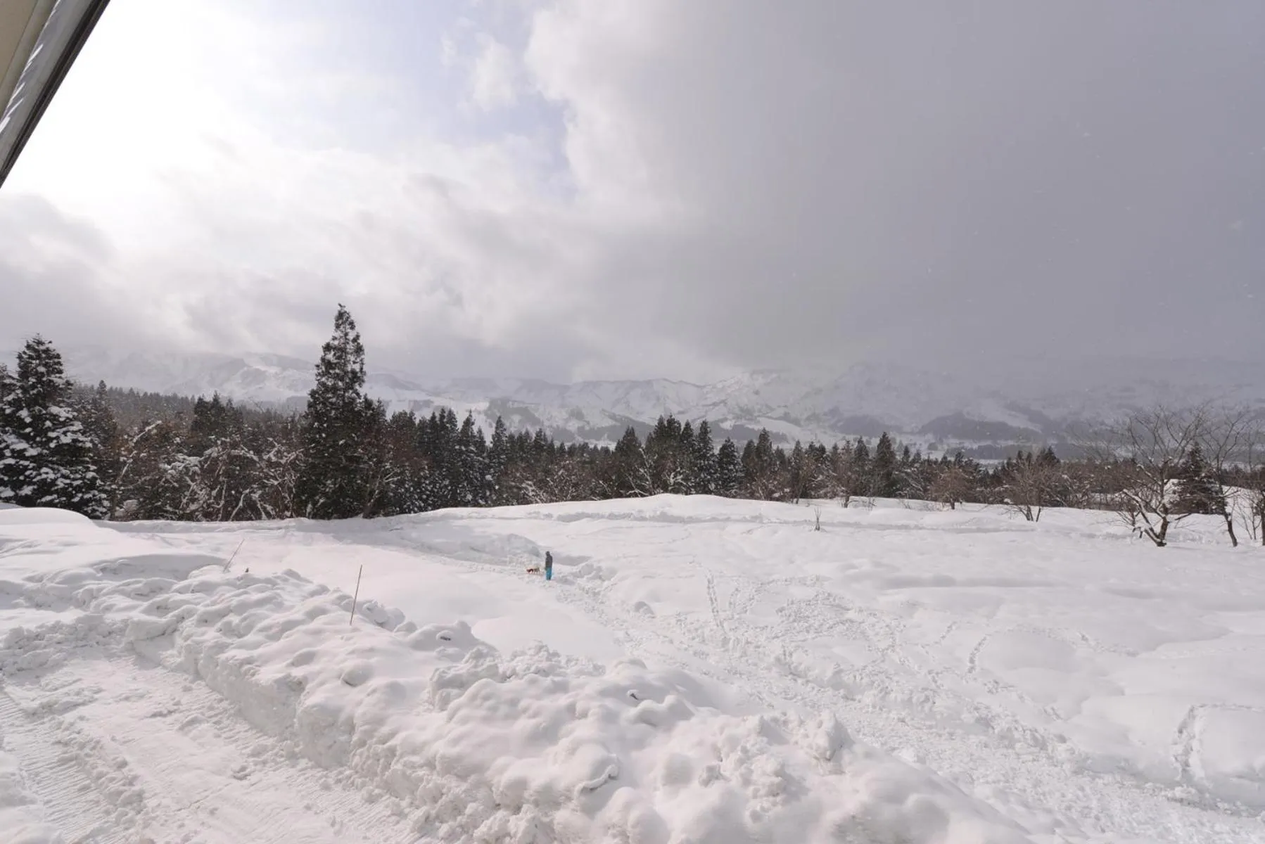 View (from property/room) in Lodge B&W