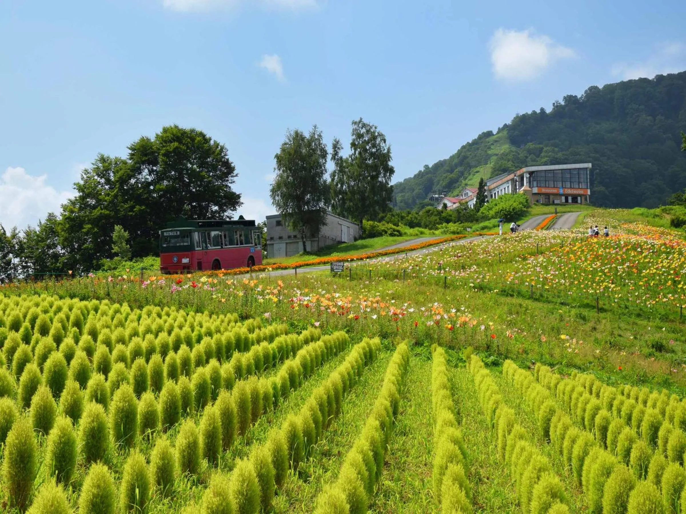 Nearby landmark in Lodge B&W