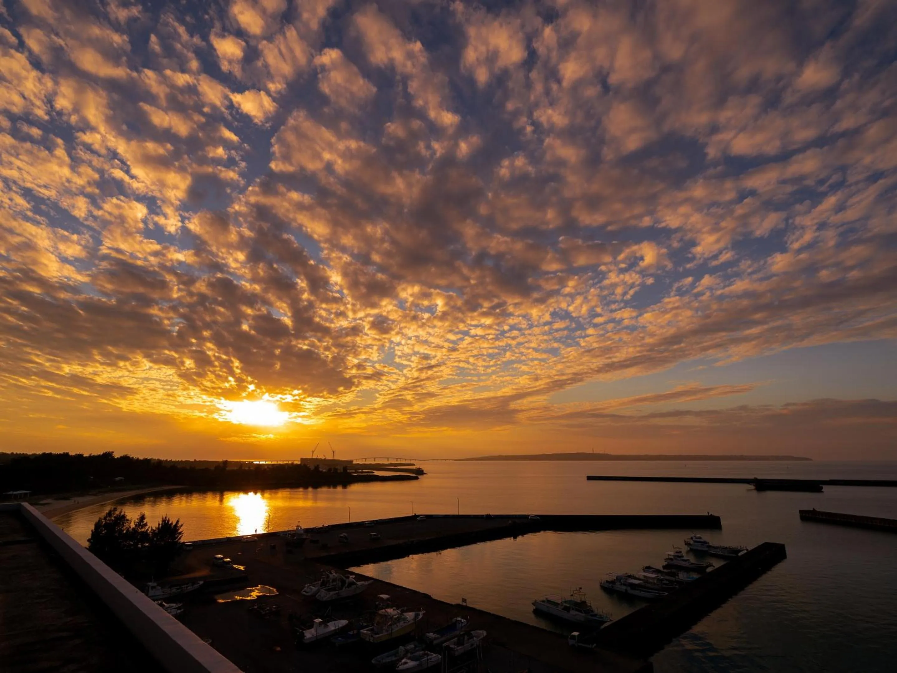 Location in Hotel Locus