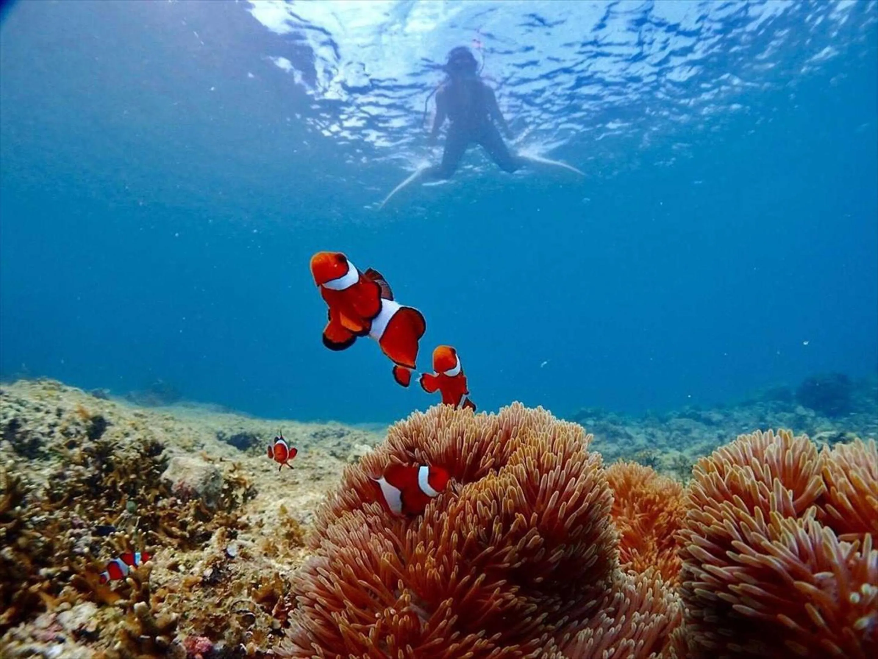 Beach in Hotel Locus