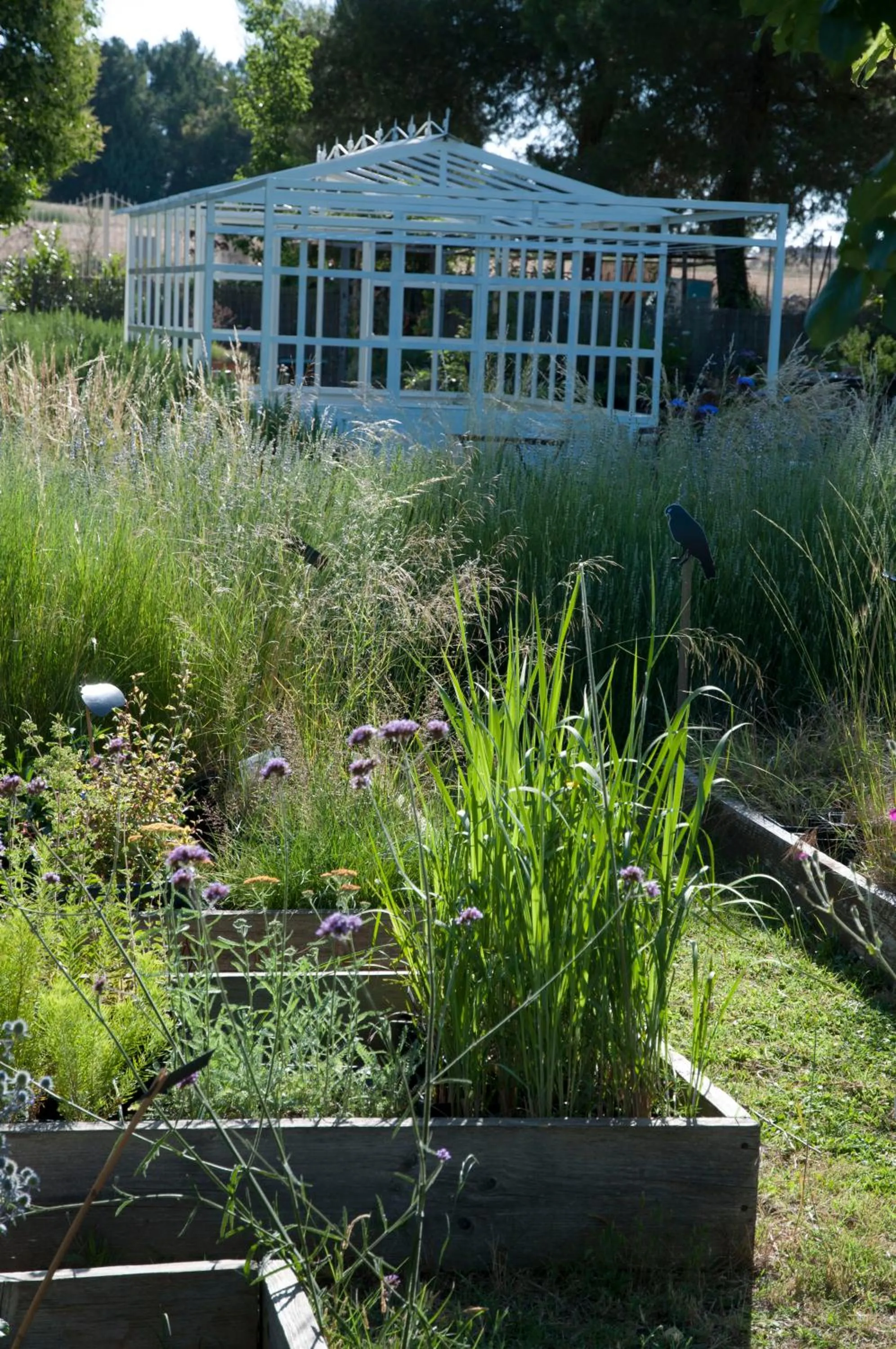 Garden in Giardino della Moscatella