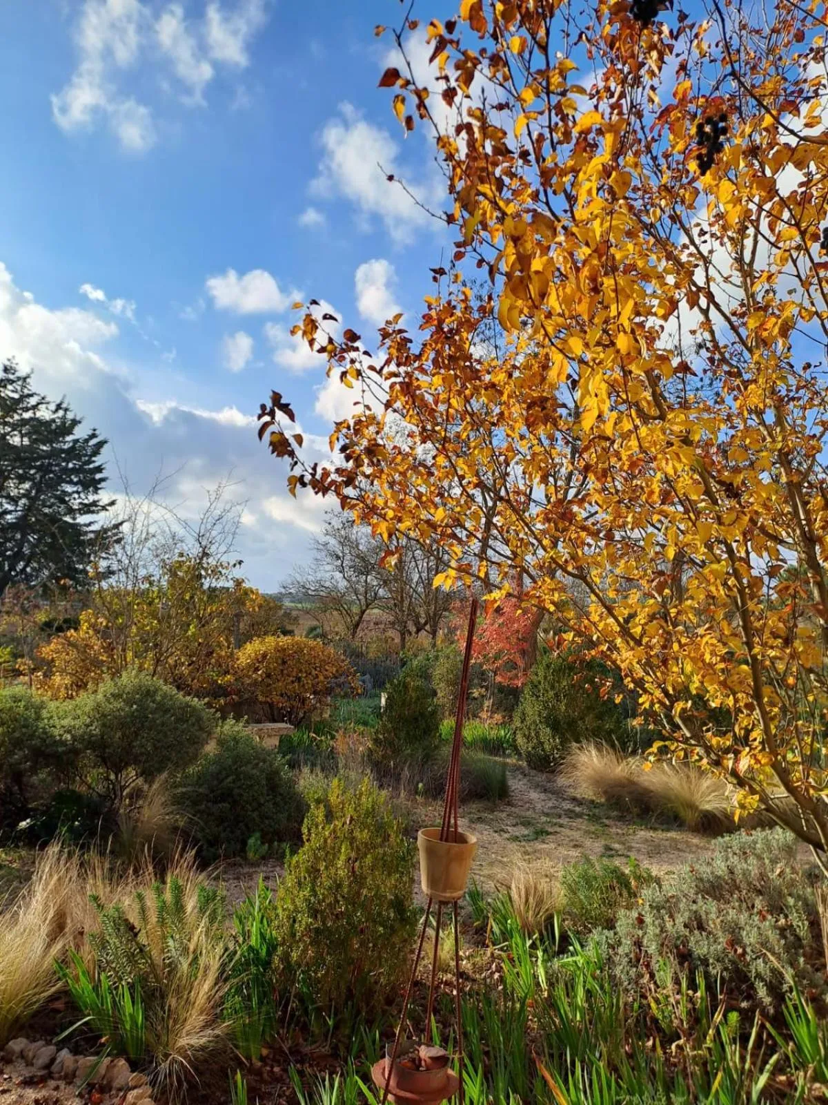 Garden in Giardino della Moscatella