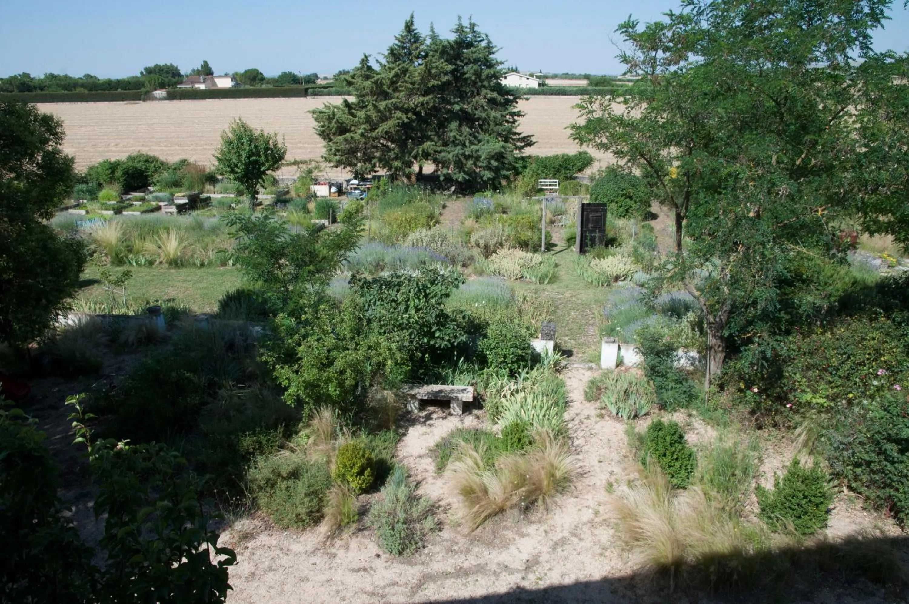 Garden in Giardino della Moscatella