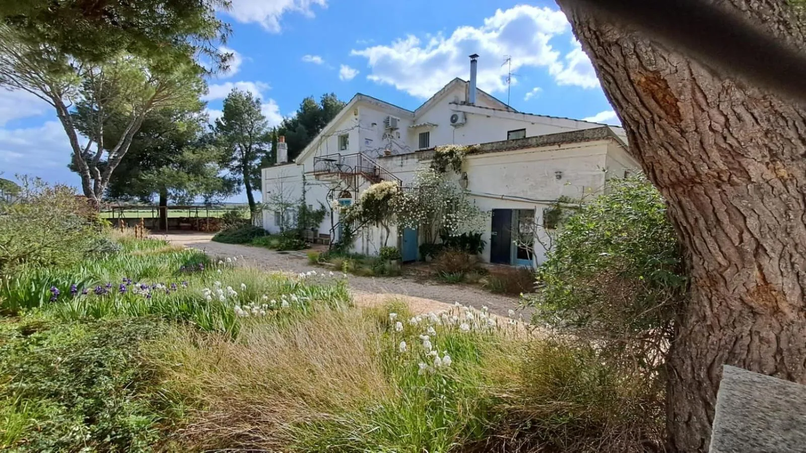 Property building in Giardino della Moscatella