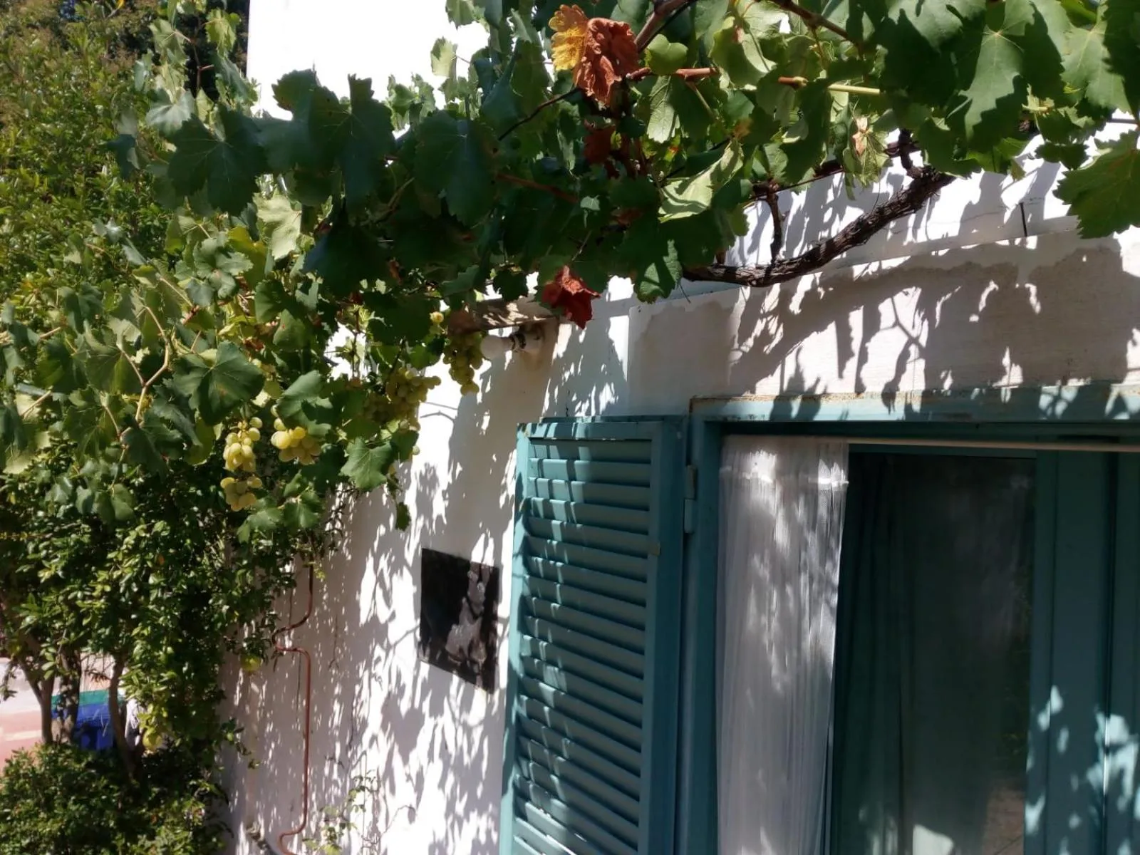 Giardino della Moscatella