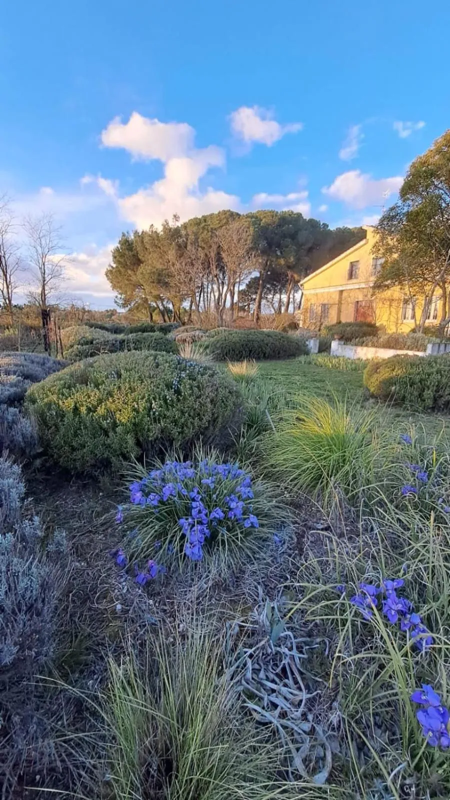 Giardino della Moscatella