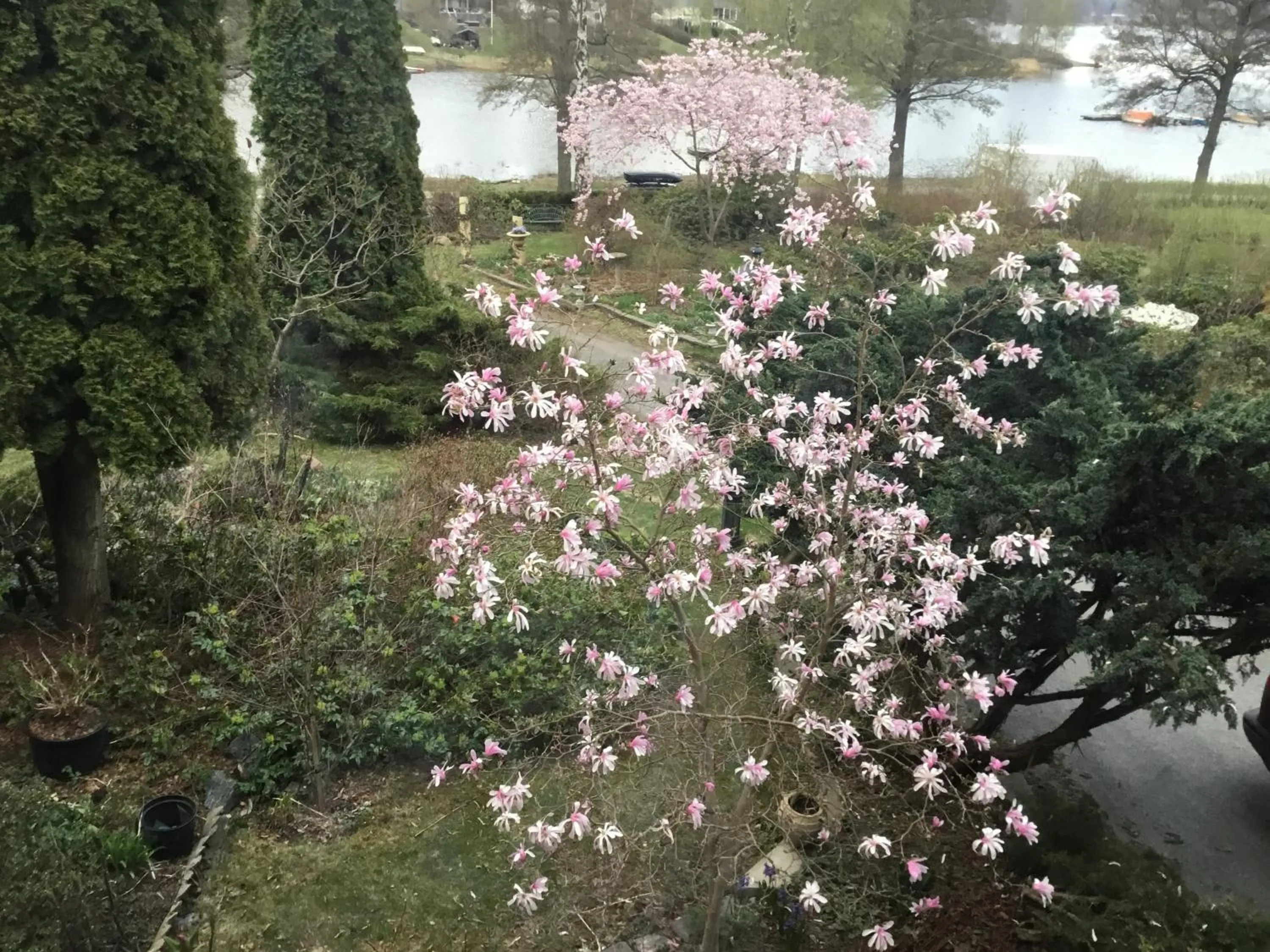 Fornuddens Bed and Breakfast