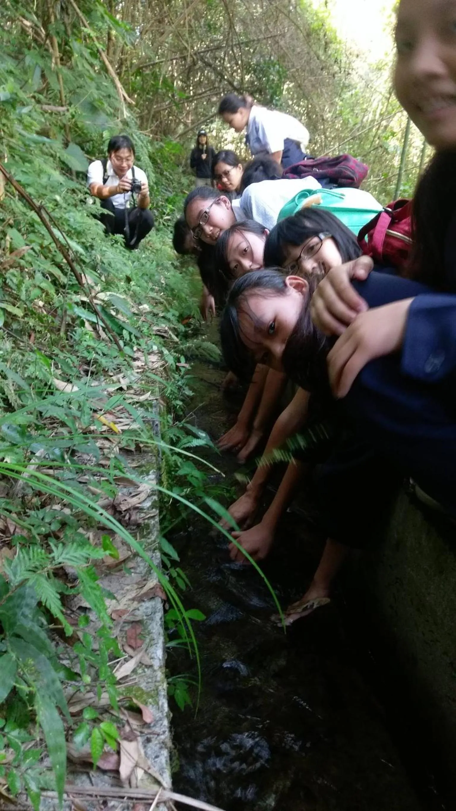 The house behind stream