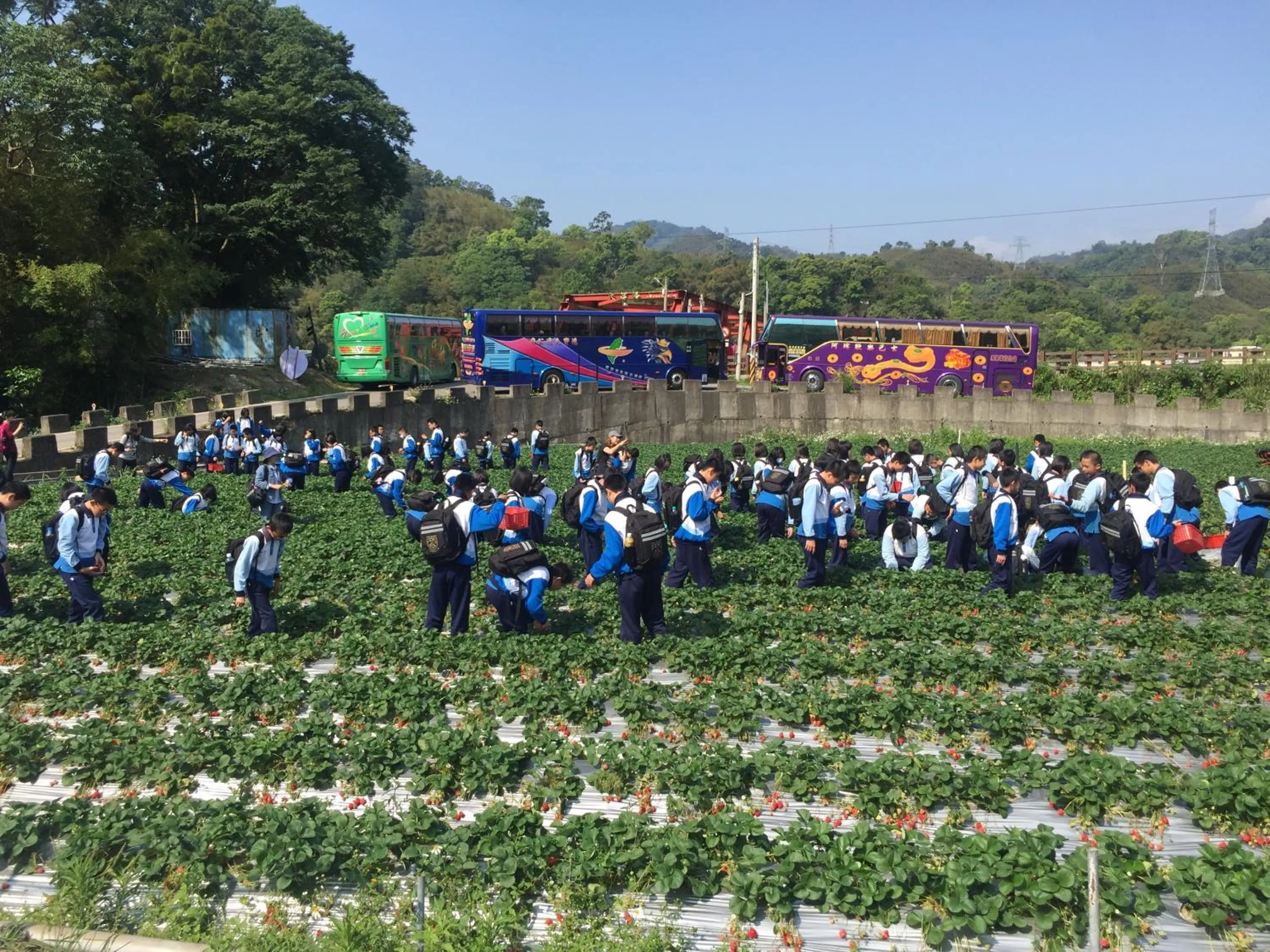 The house behind stream