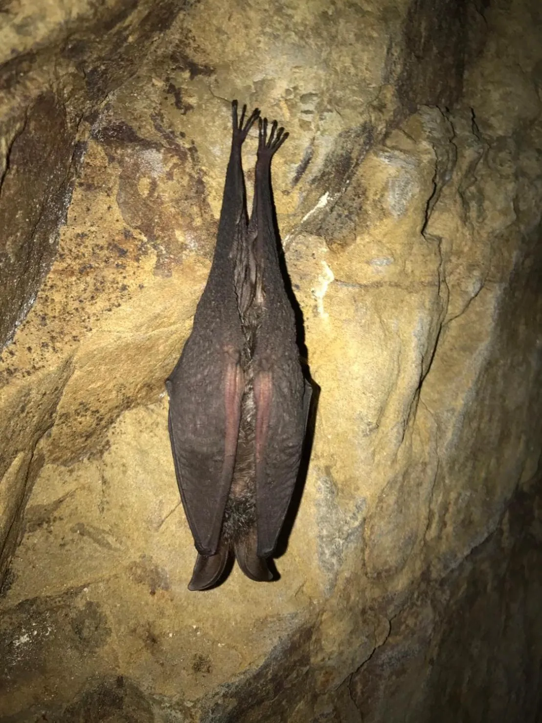 The house behind stream