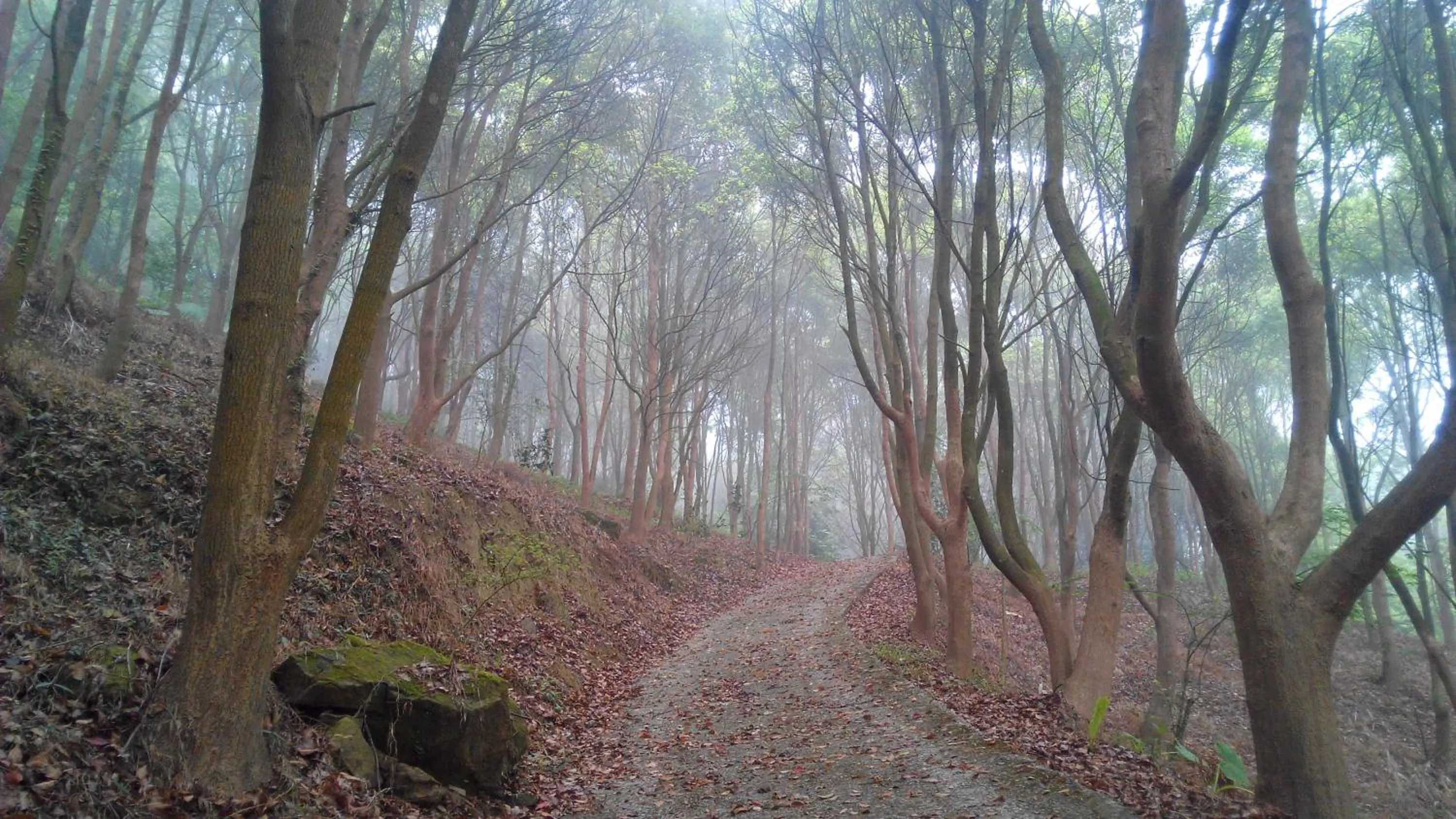 The house behind stream