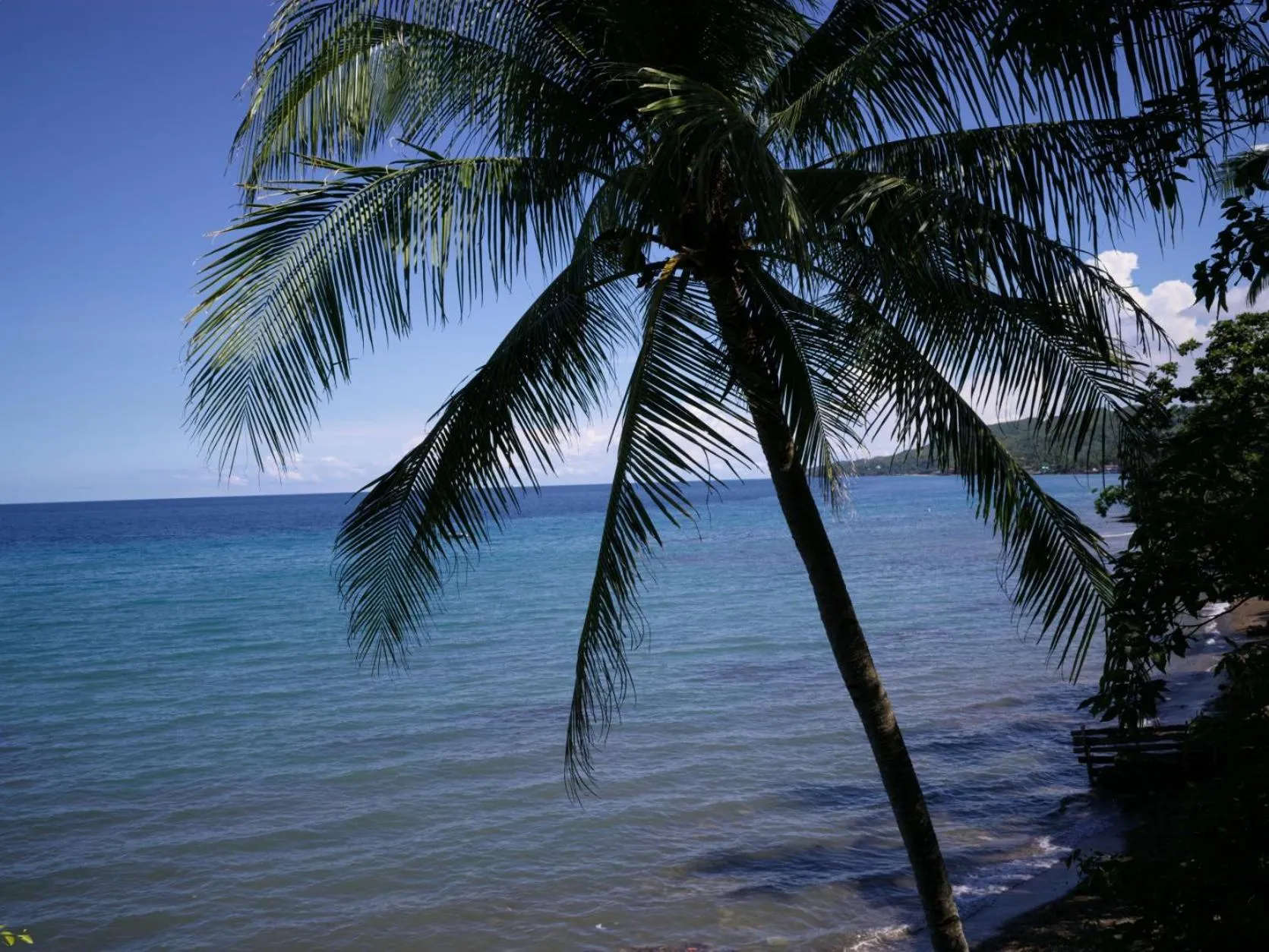 Las Flores Beachside Hotel