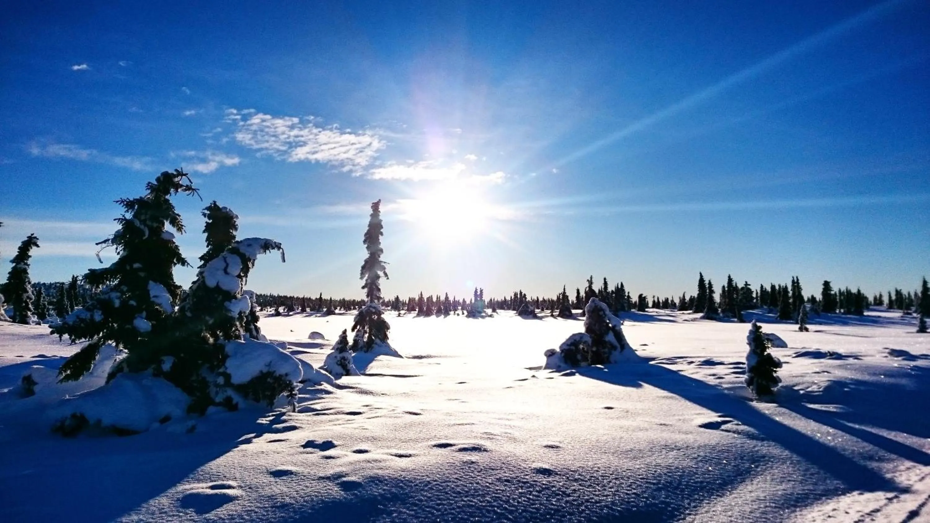 Natural landscape in Lillehammer Fjellstue og Hytteutleie
