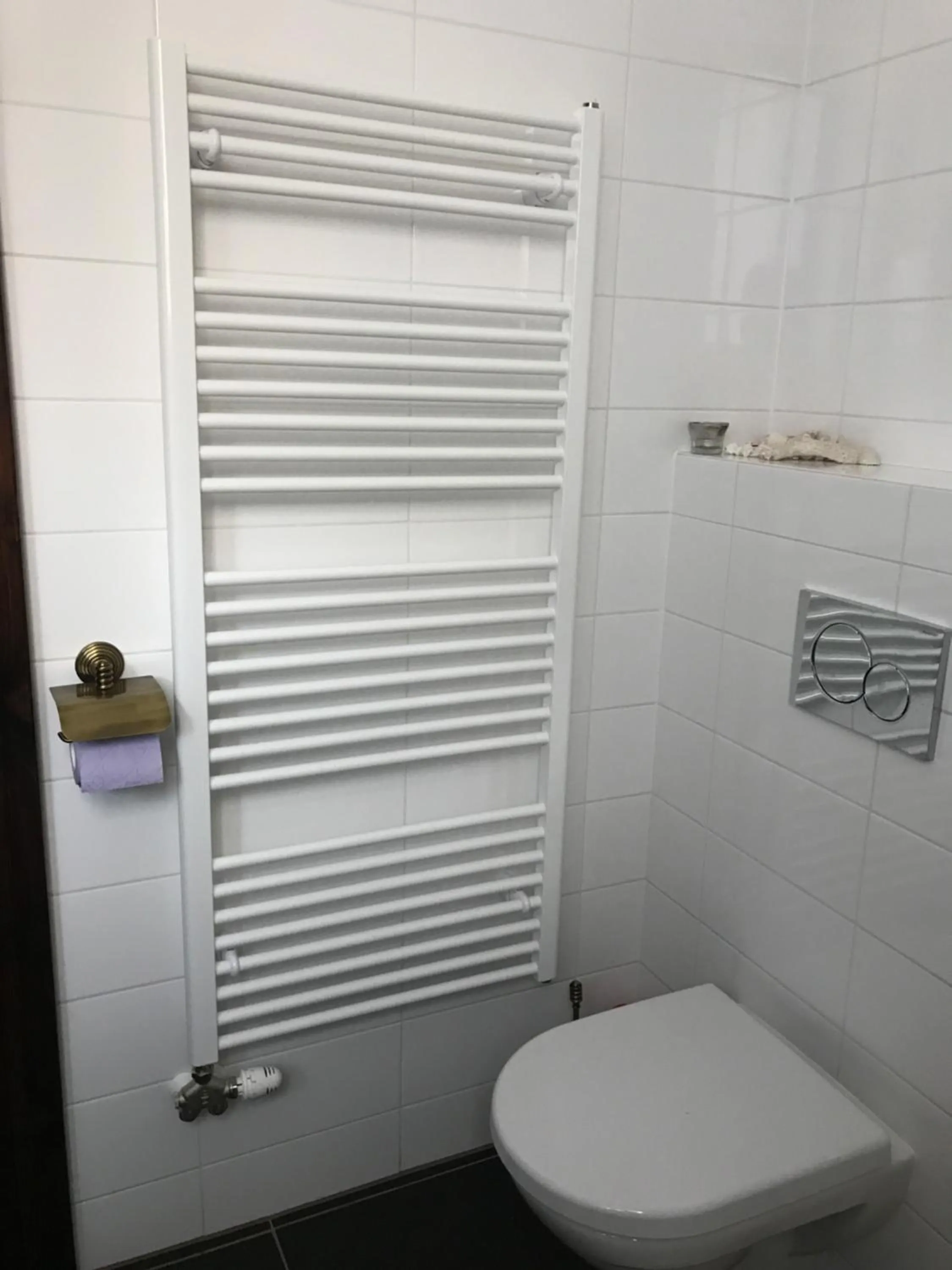 Toilet in Ubytovanie u martina