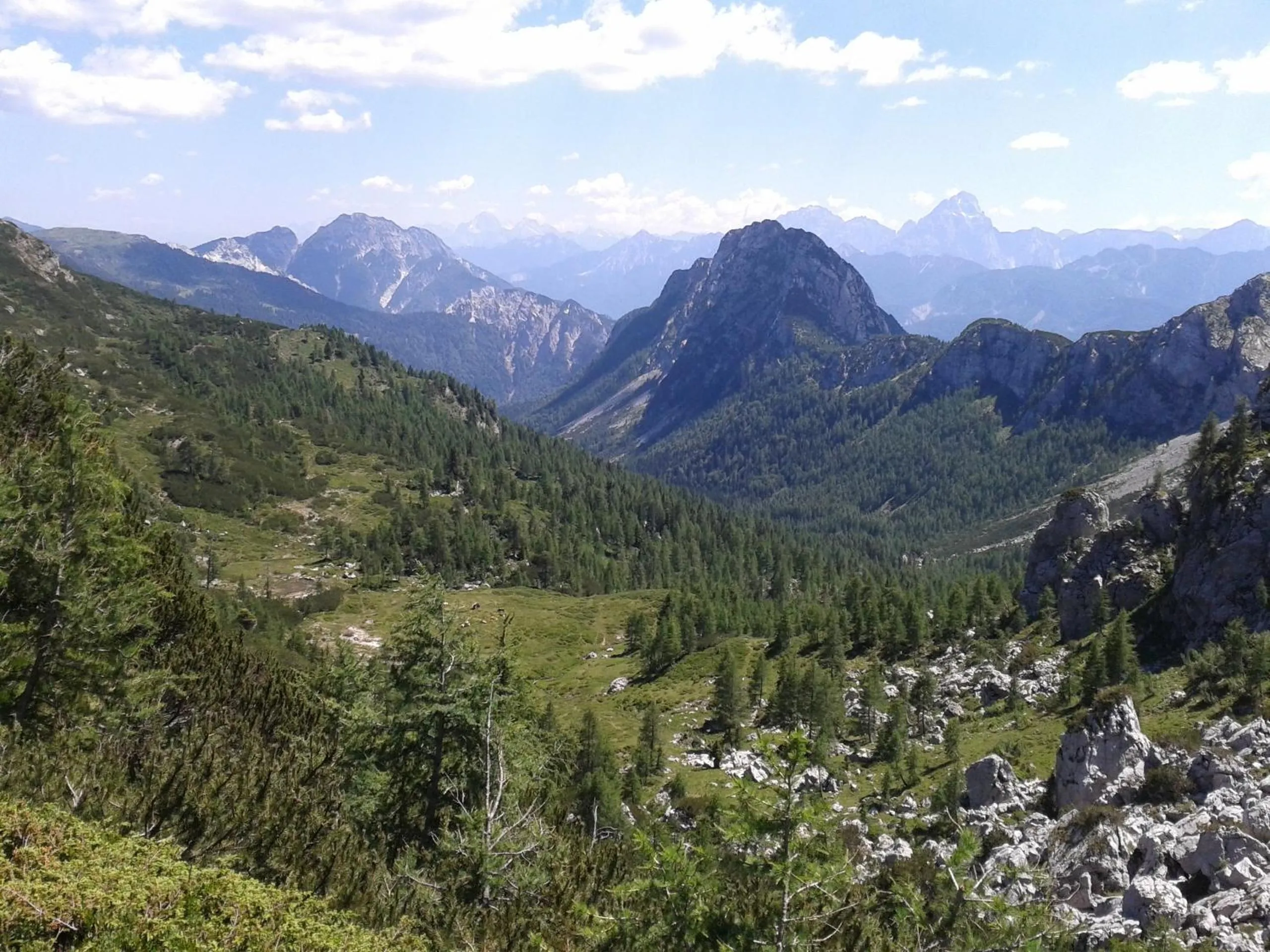 Summer in Alpenhäuser Marcius
