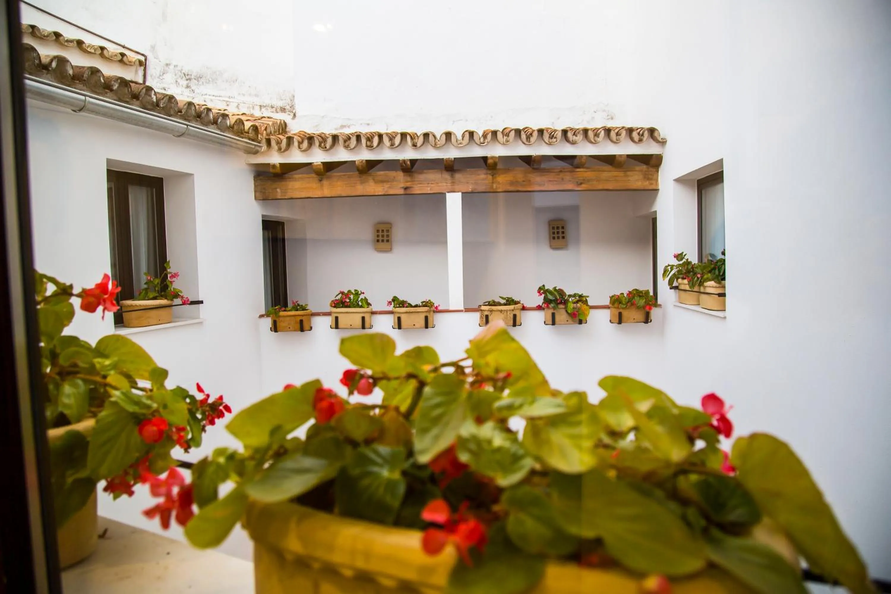 Garden view in Legado Alcazar Hotel