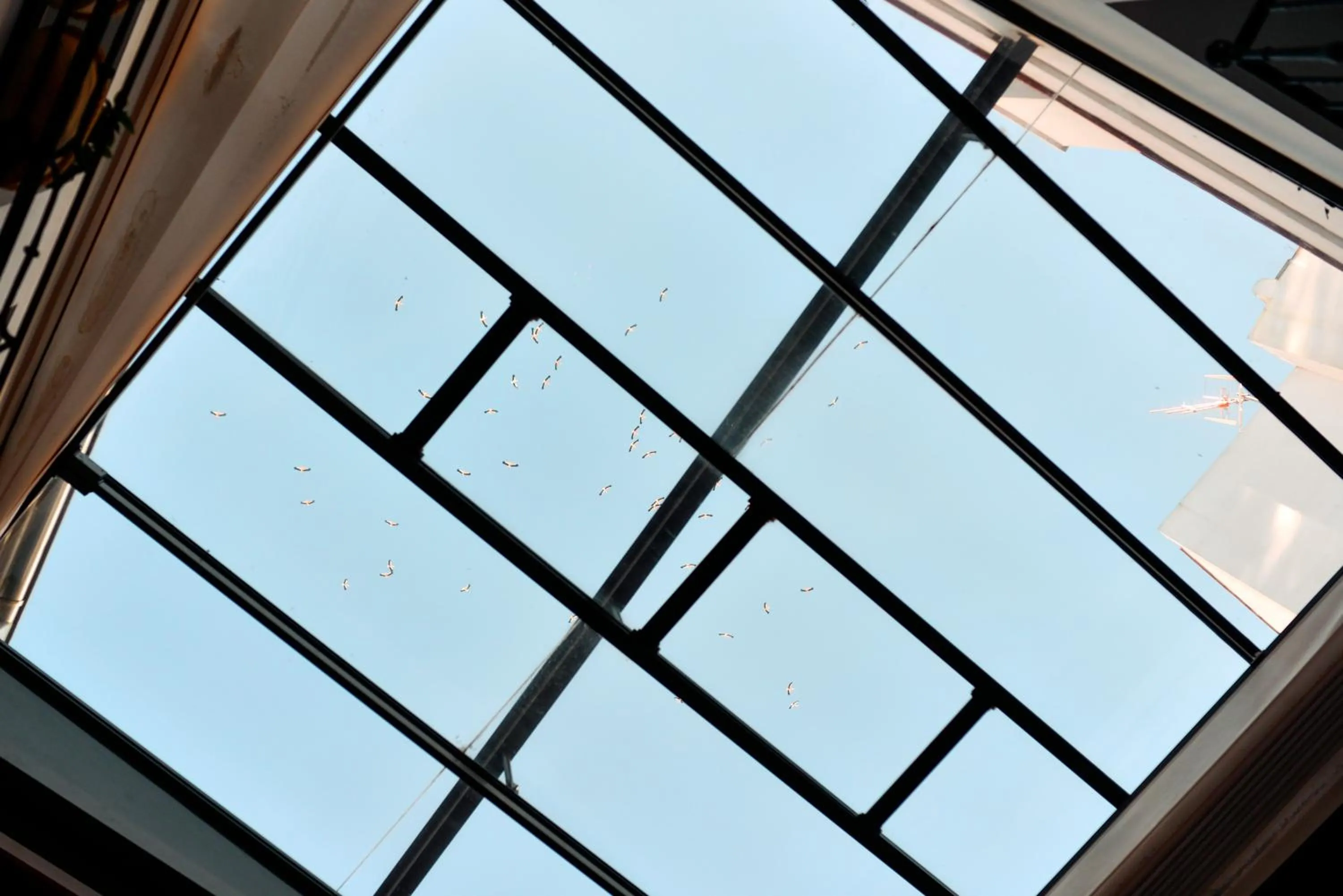 City view in Legado Alcazar Hotel