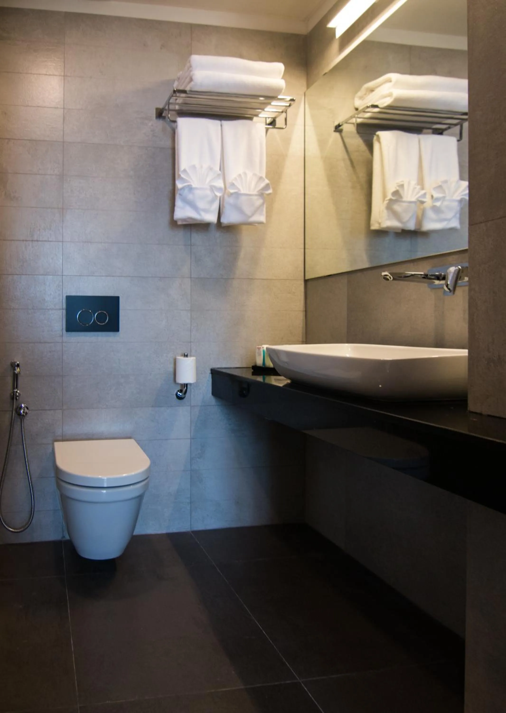 Toilet in Rococo Residence