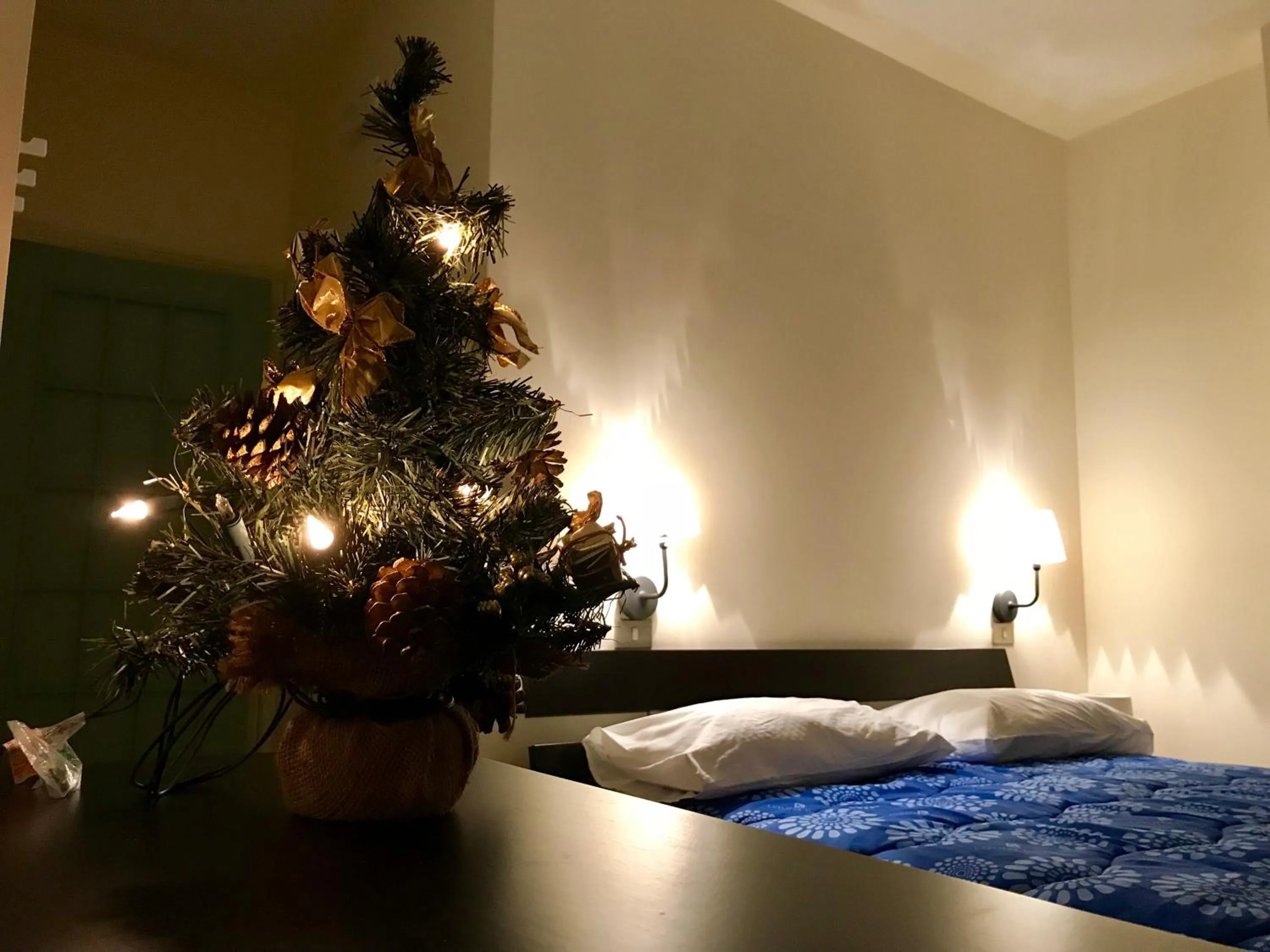 Photo of the whole room in AmoRosita