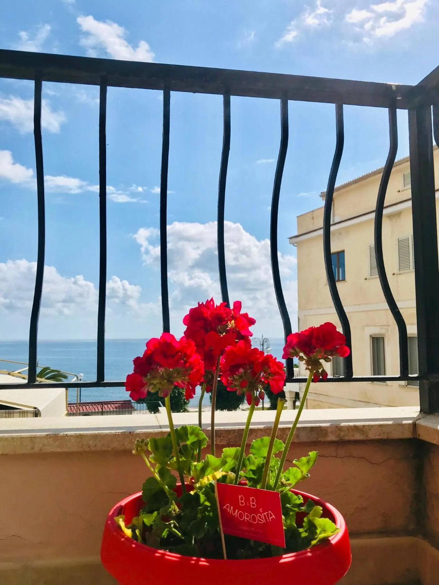Balcony/Terrace in AmoRosita