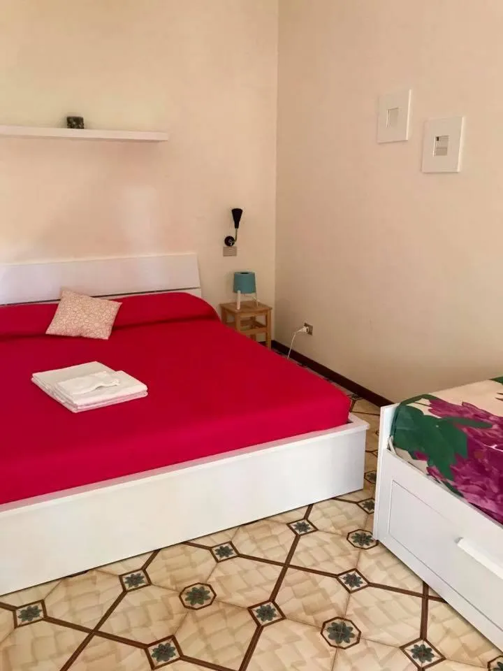 Photo of the whole room in AmoRosita