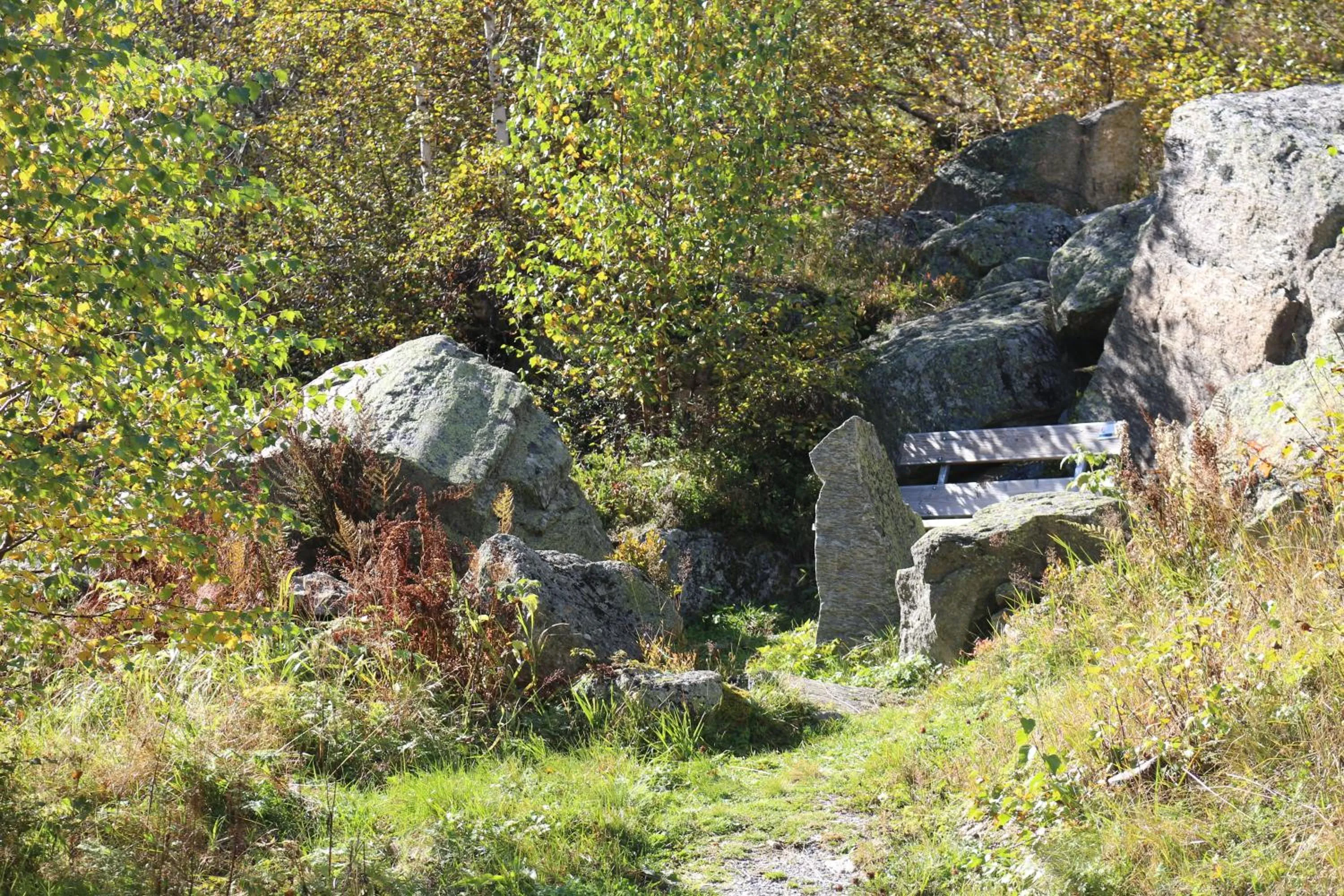 Natural landscape in Hotel Landle