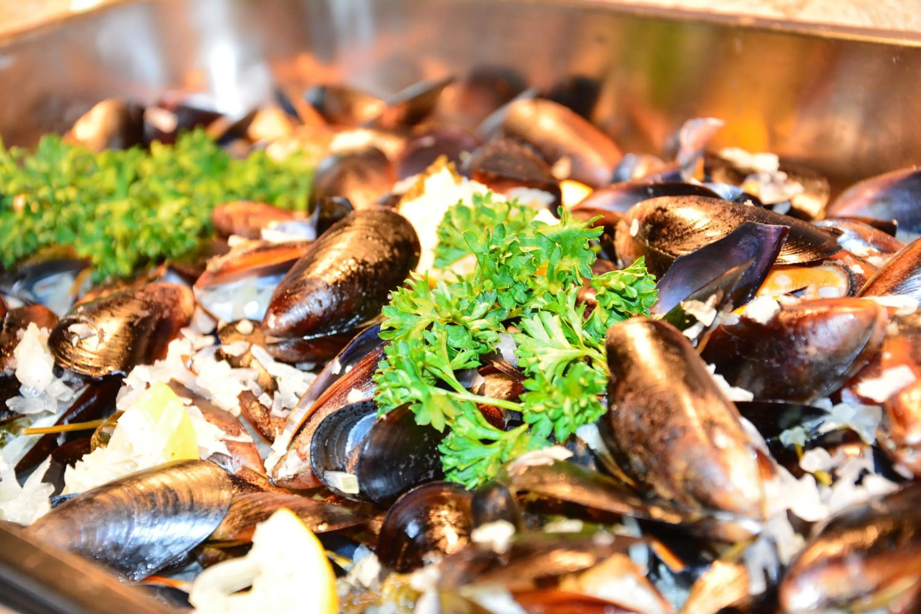 Food in Hotel Landle