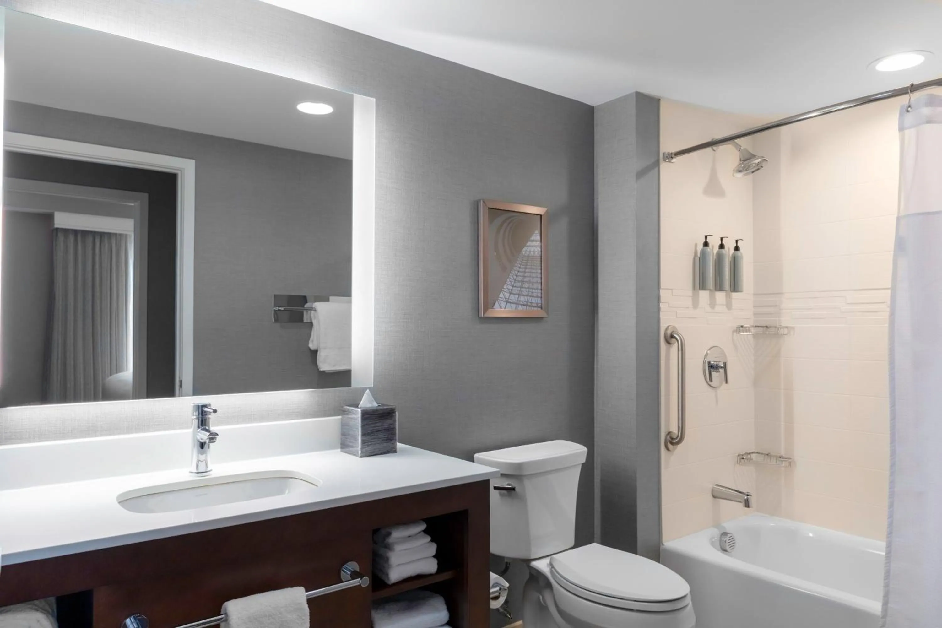 Bathroom in Residence Inn by Marriott Boston Burlington