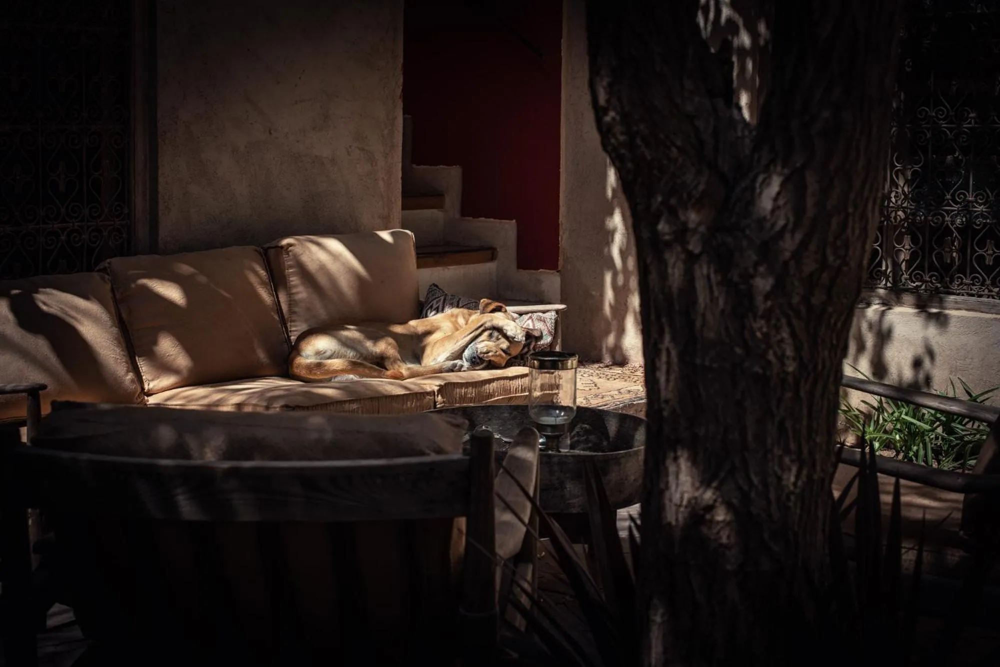 Patio in Riad Kbour & Chou