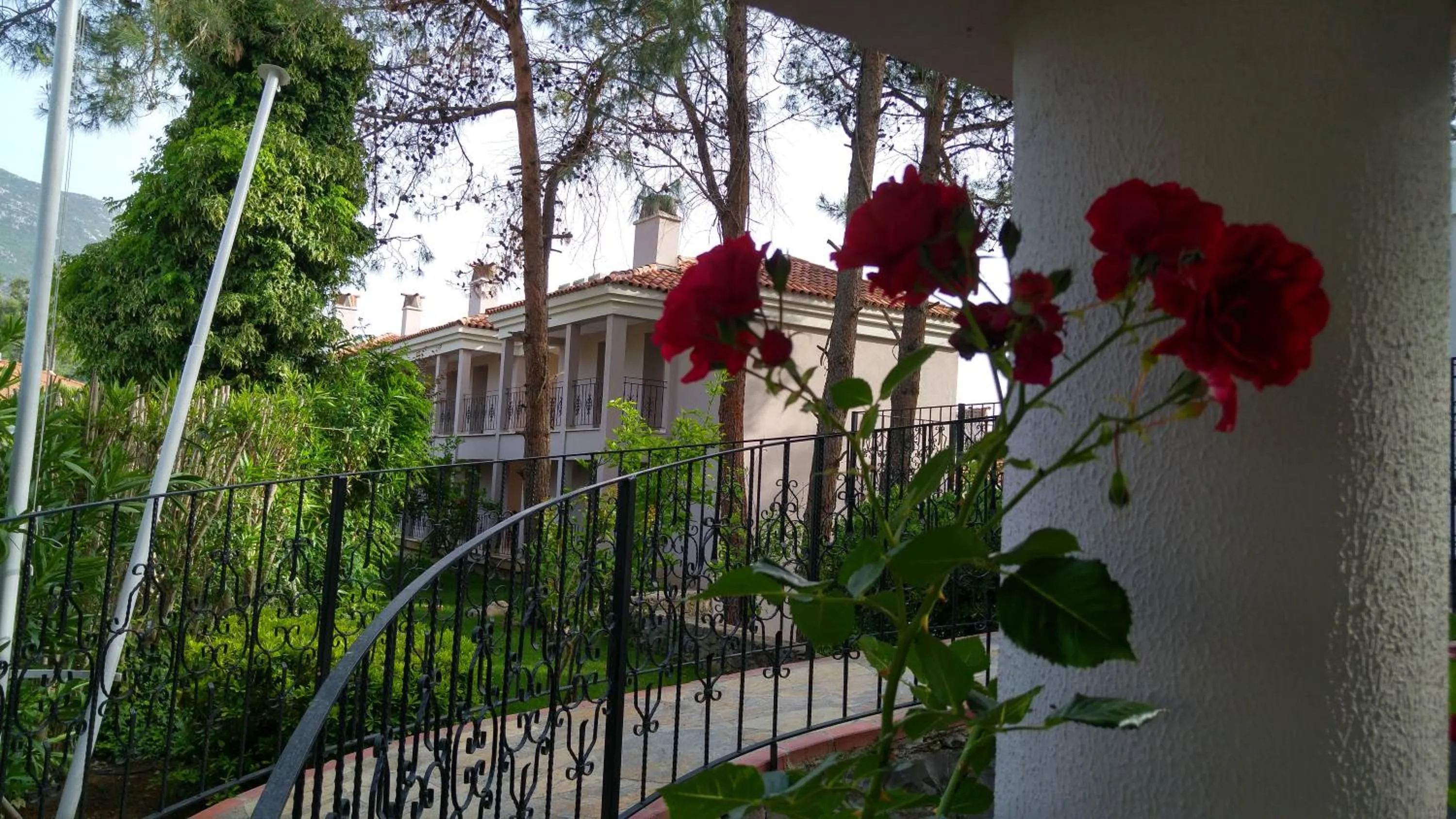 Patio in Pine Valley Hotel Oludeniz