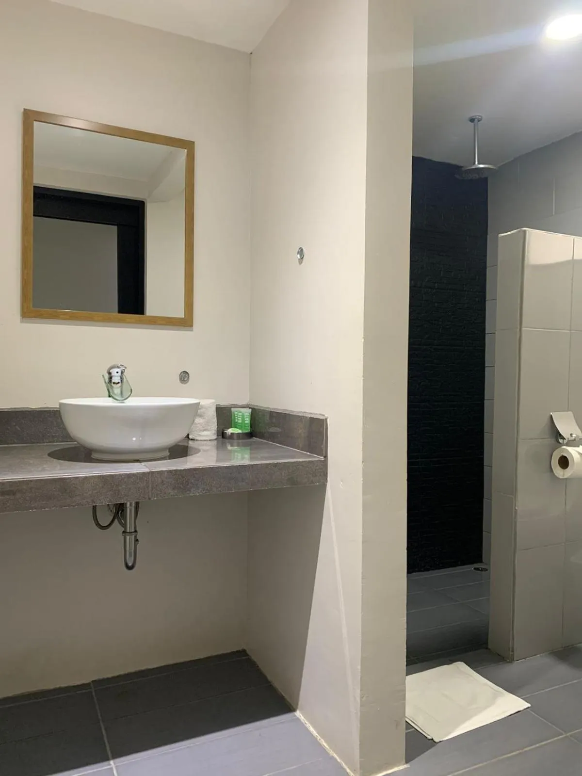 Bathroom in Hotel Los Rios