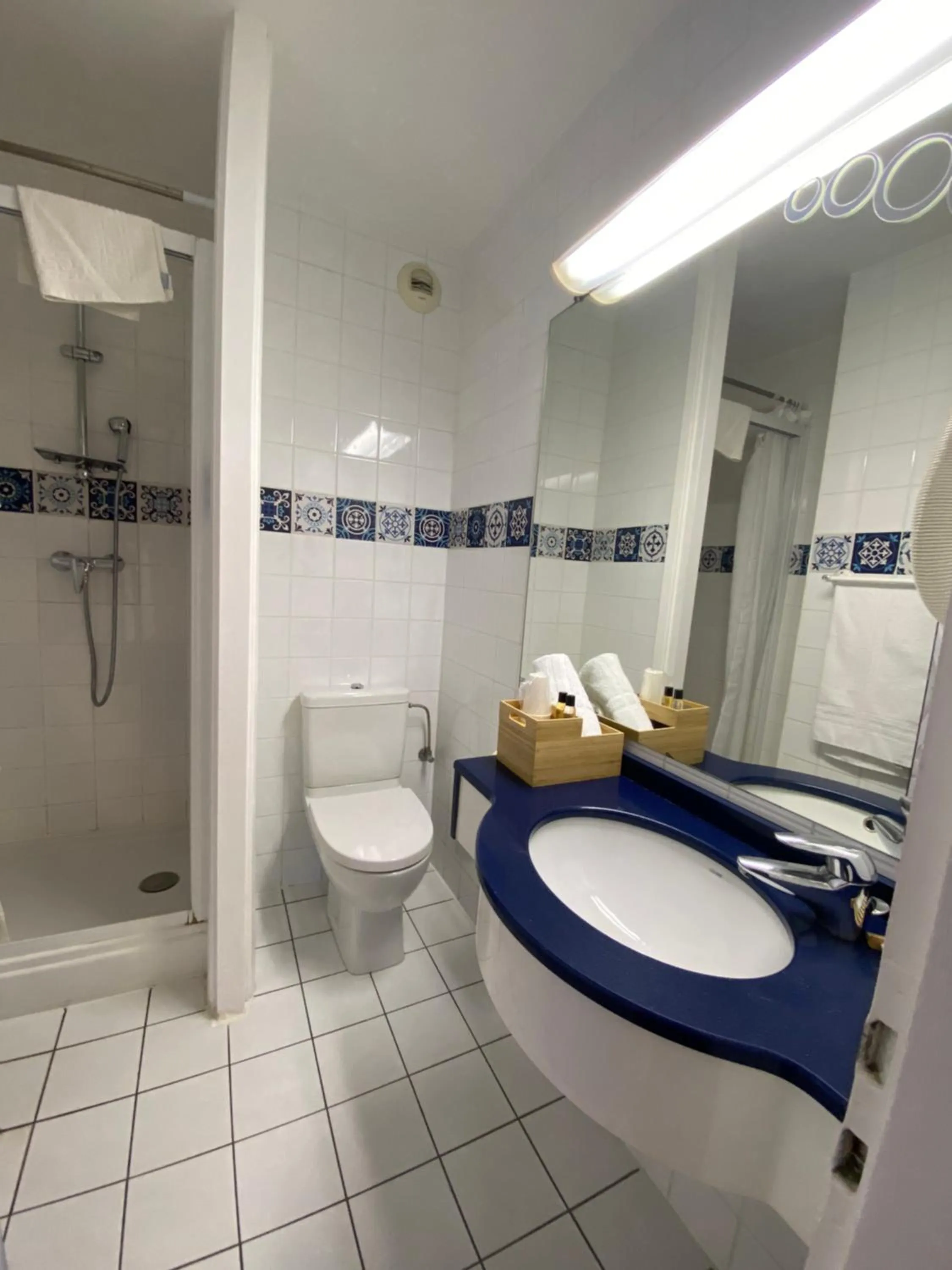 Bathroom in Savoie Hotel aux portes de Genève