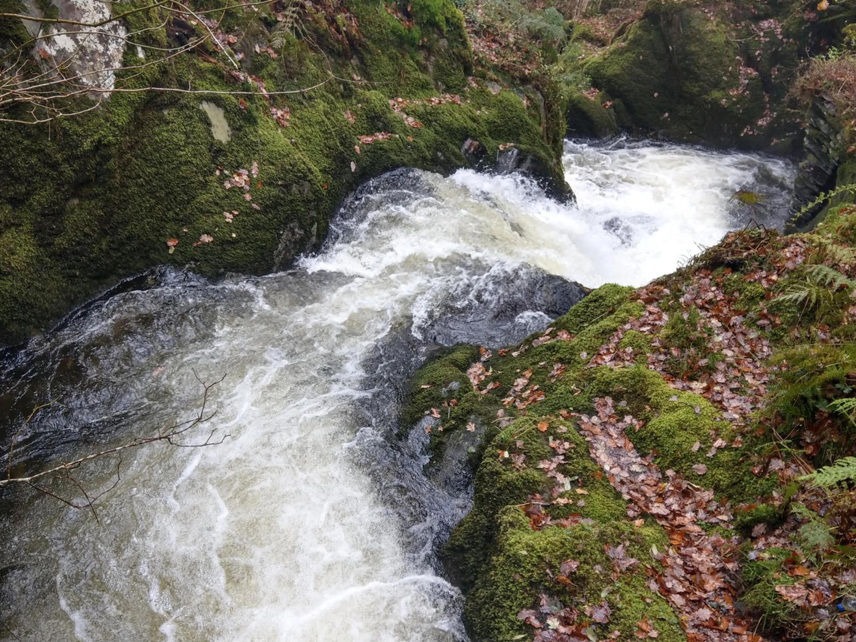 Other in Pant Glas Barn