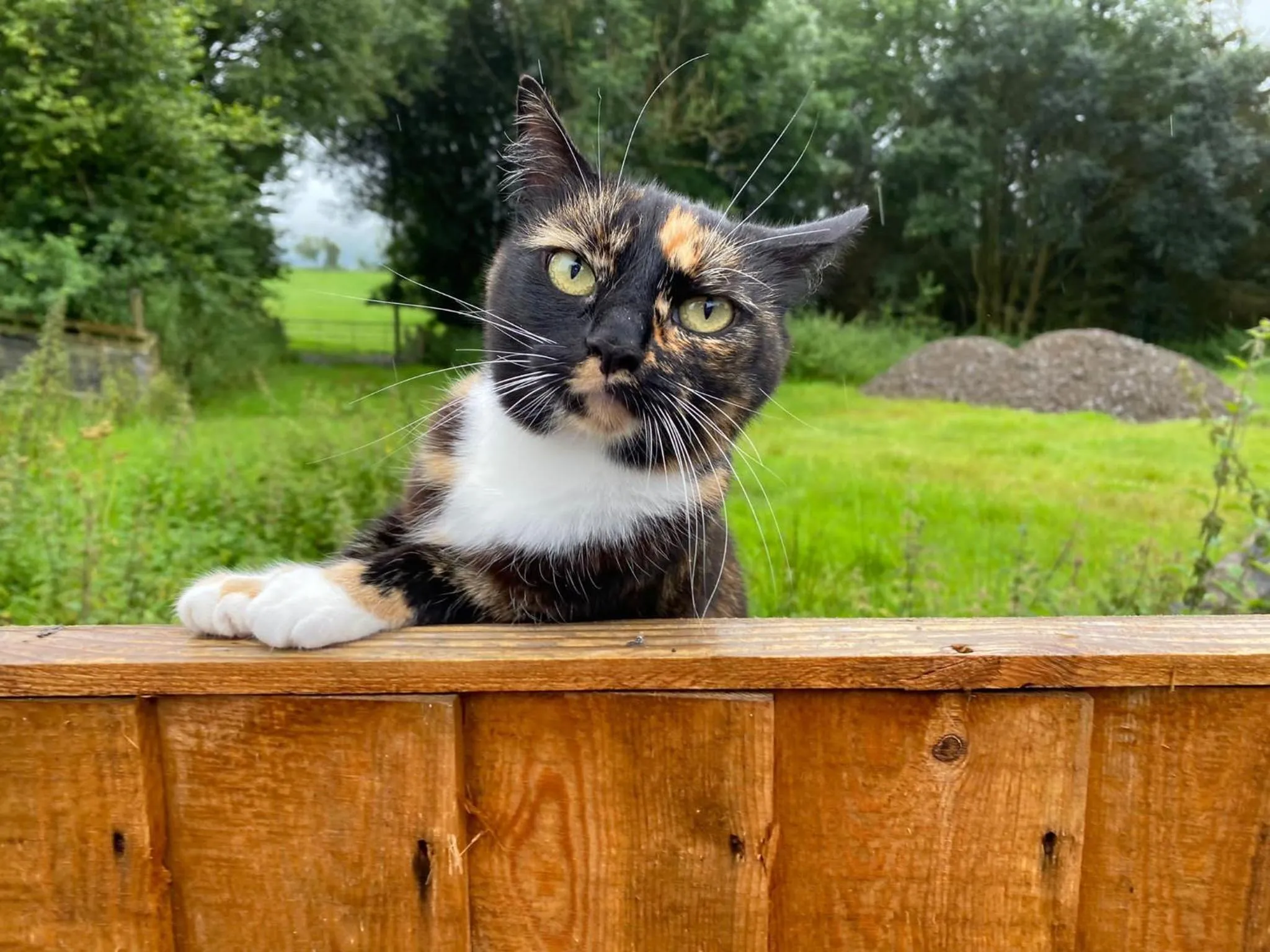 Other in Pant Glas Barn