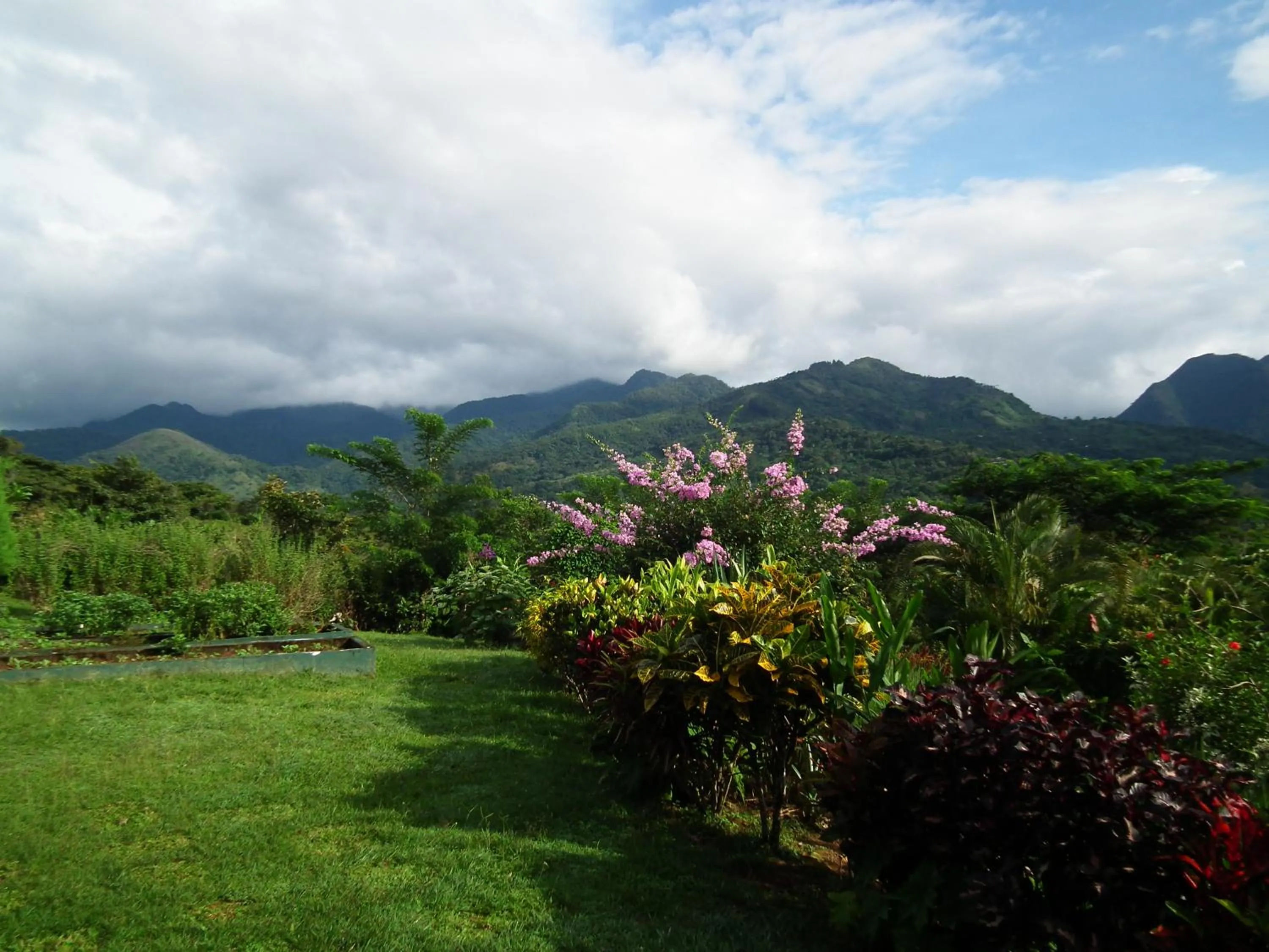 Garden in Hotel Anachoreo