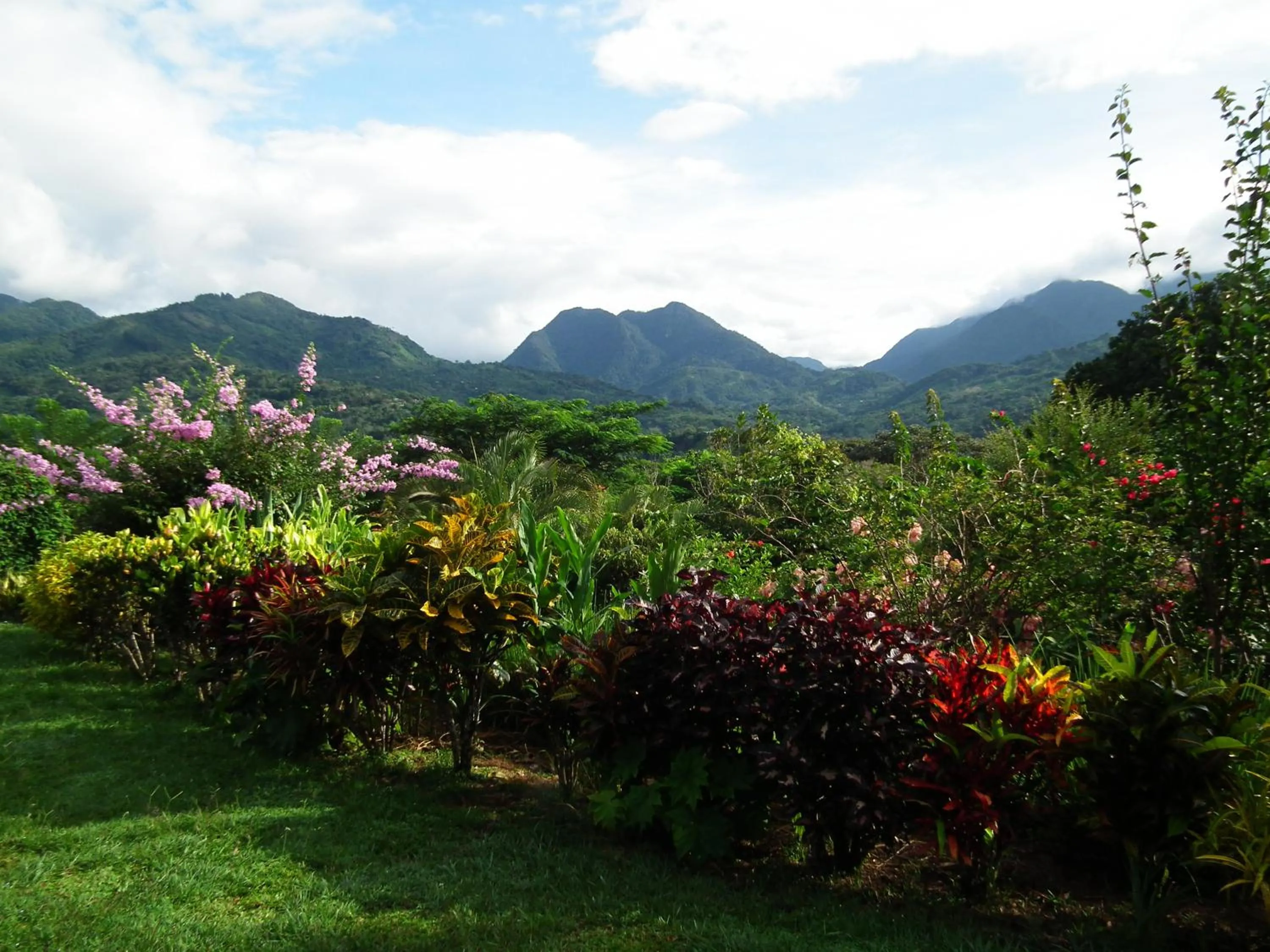 Garden in Hotel Anachoreo