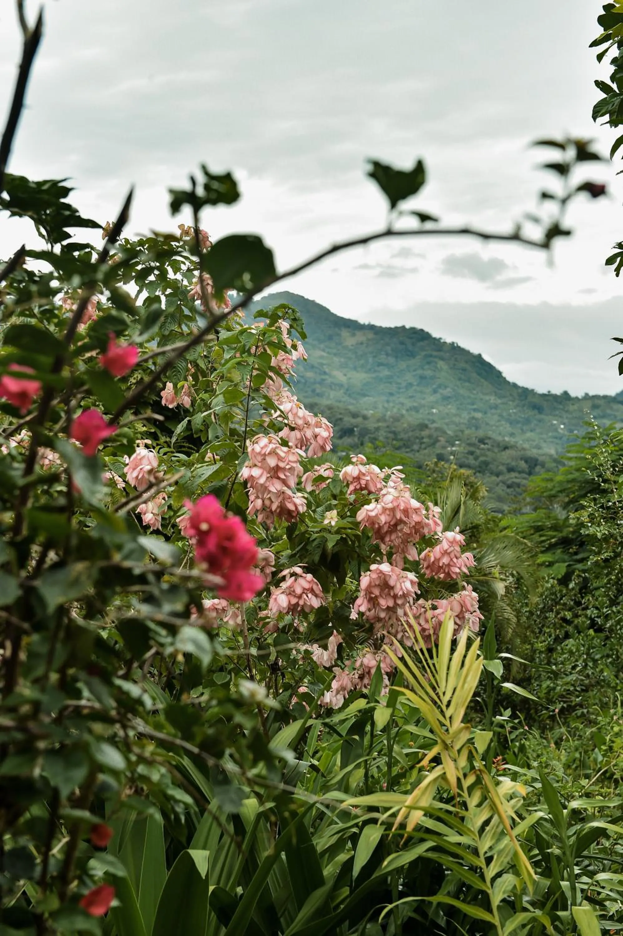 Mountain view in Hotel Anachoreo