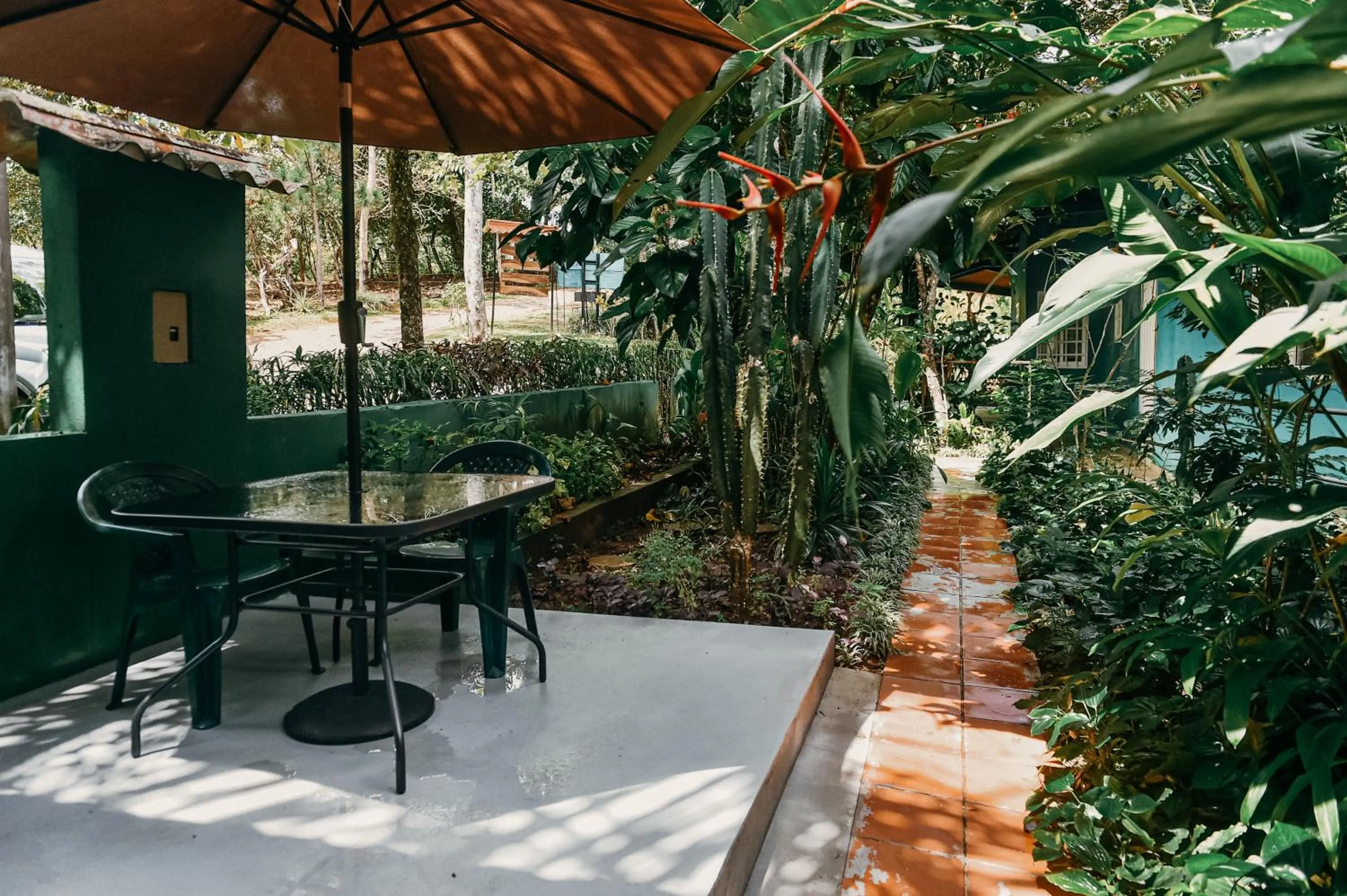 Garden view in Hotel Anachoreo