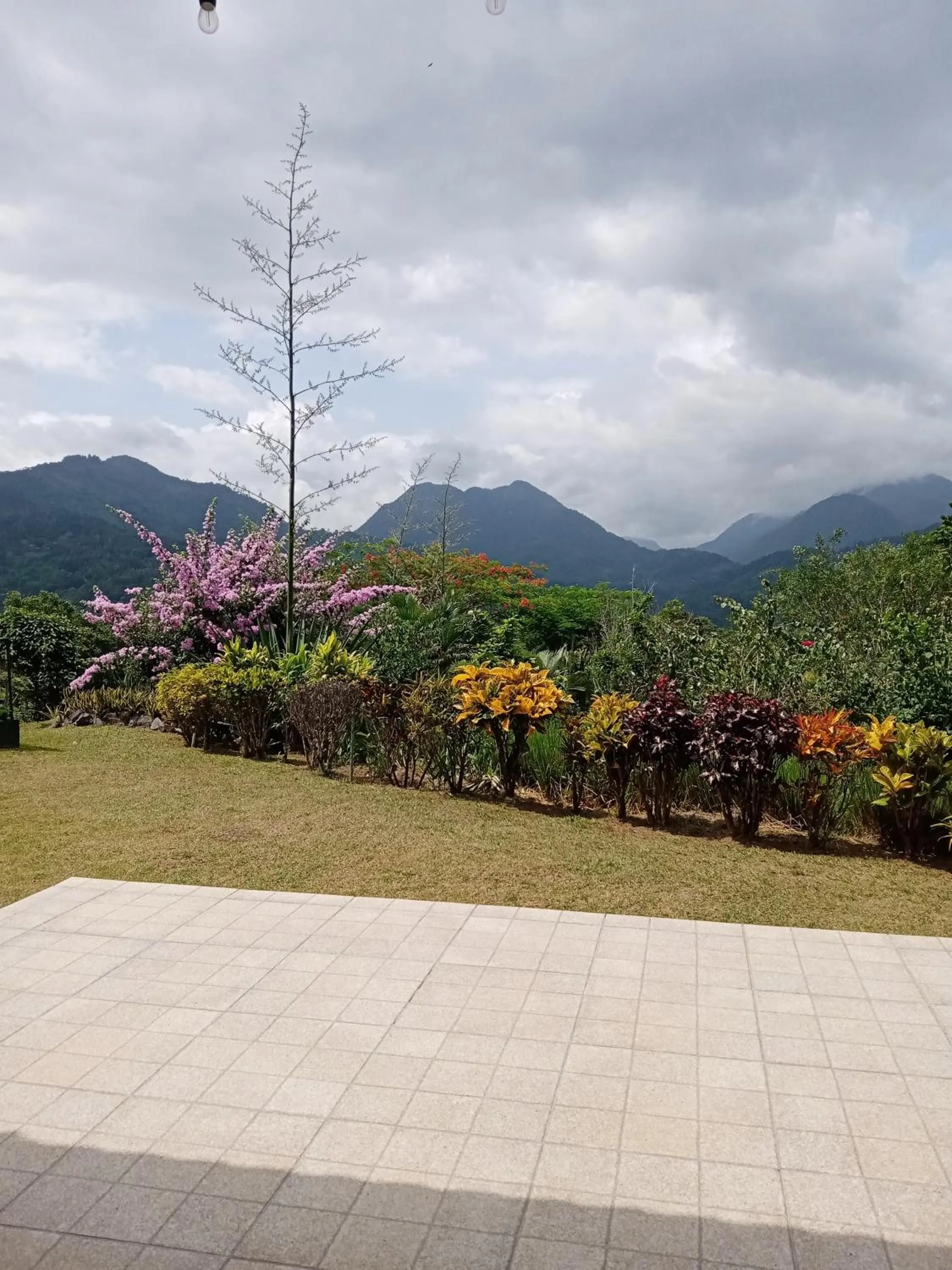 Garden view in Hotel Anachoreo