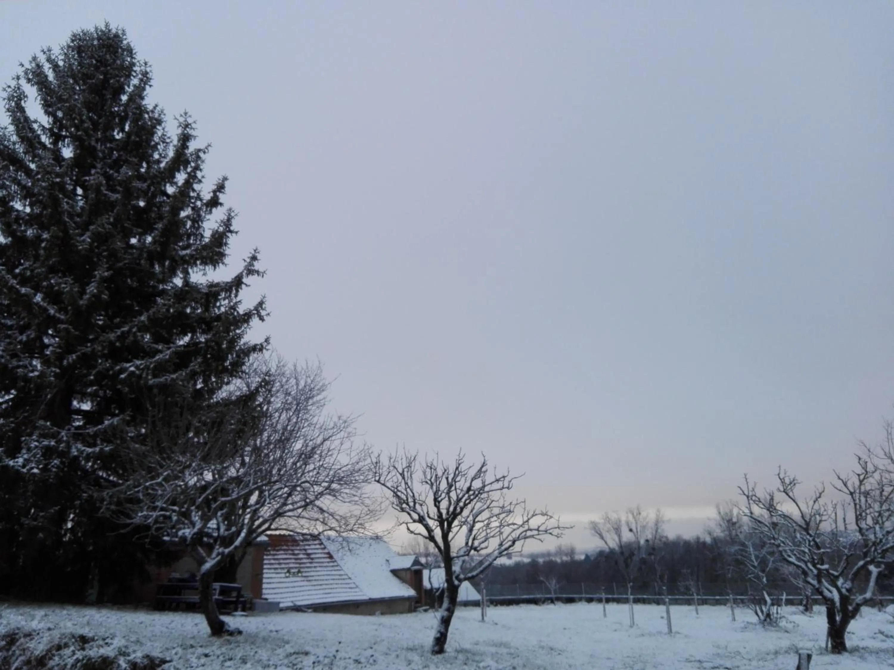 Garden view in Chez Casimir
