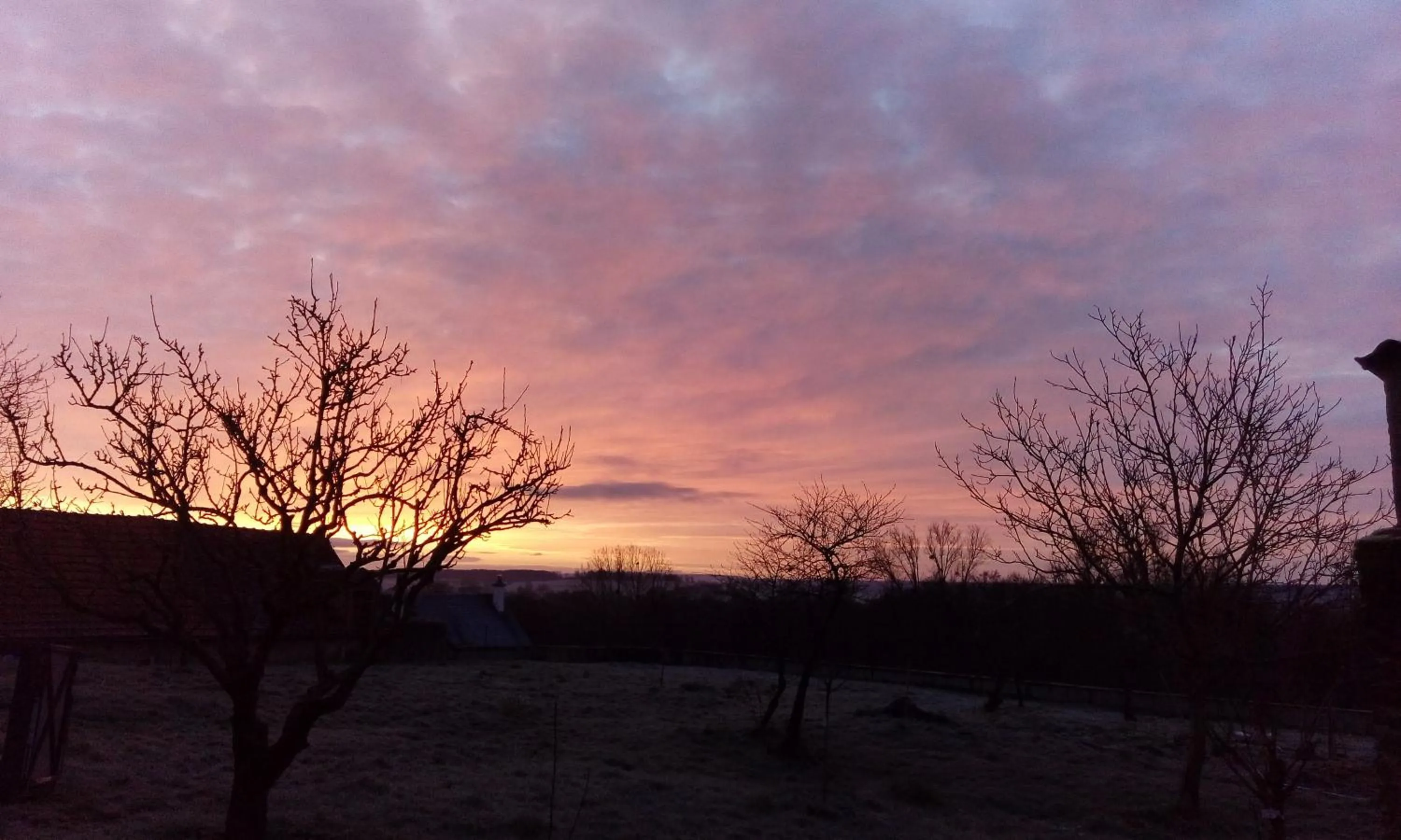 Garden view in Chez Casimir