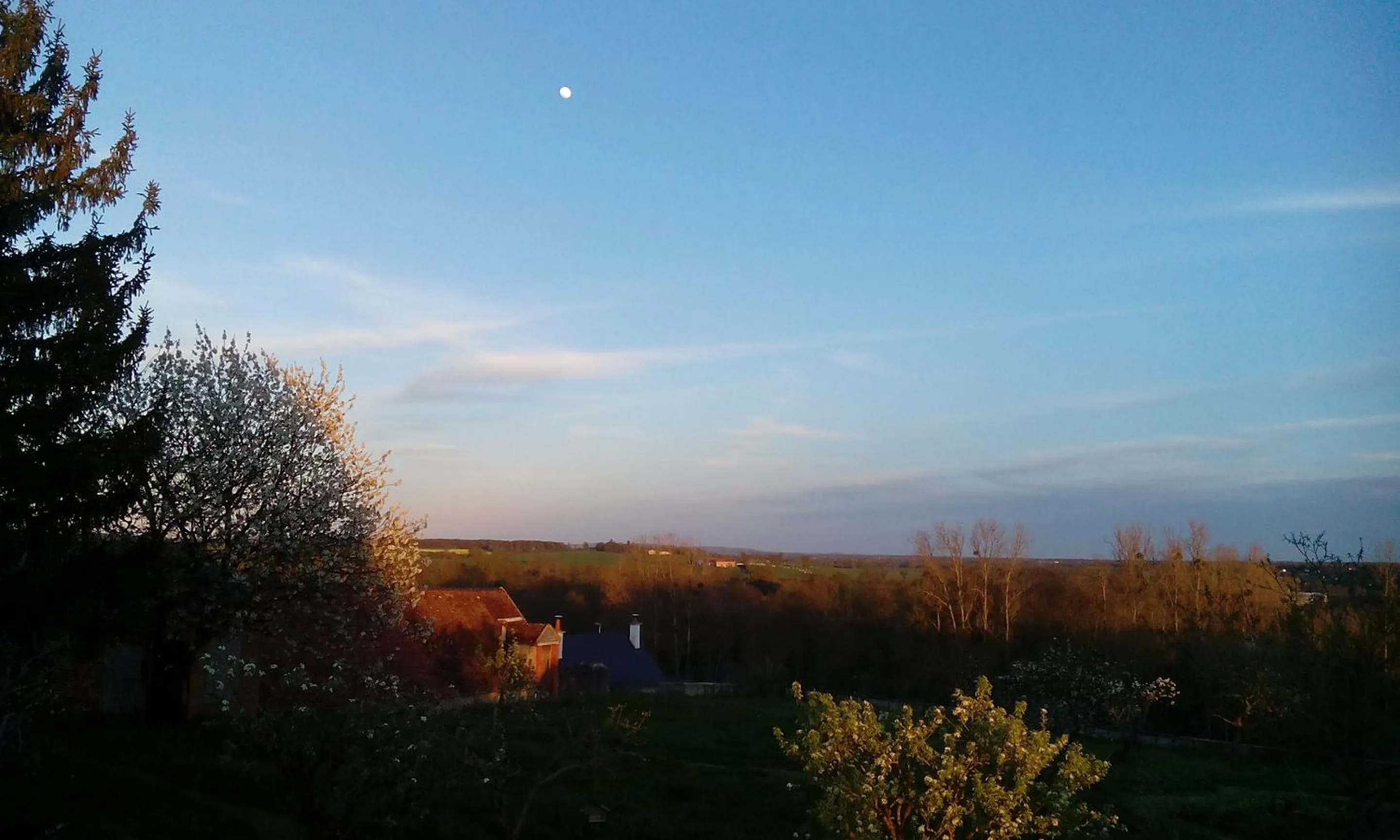 Garden in Chez Casimir