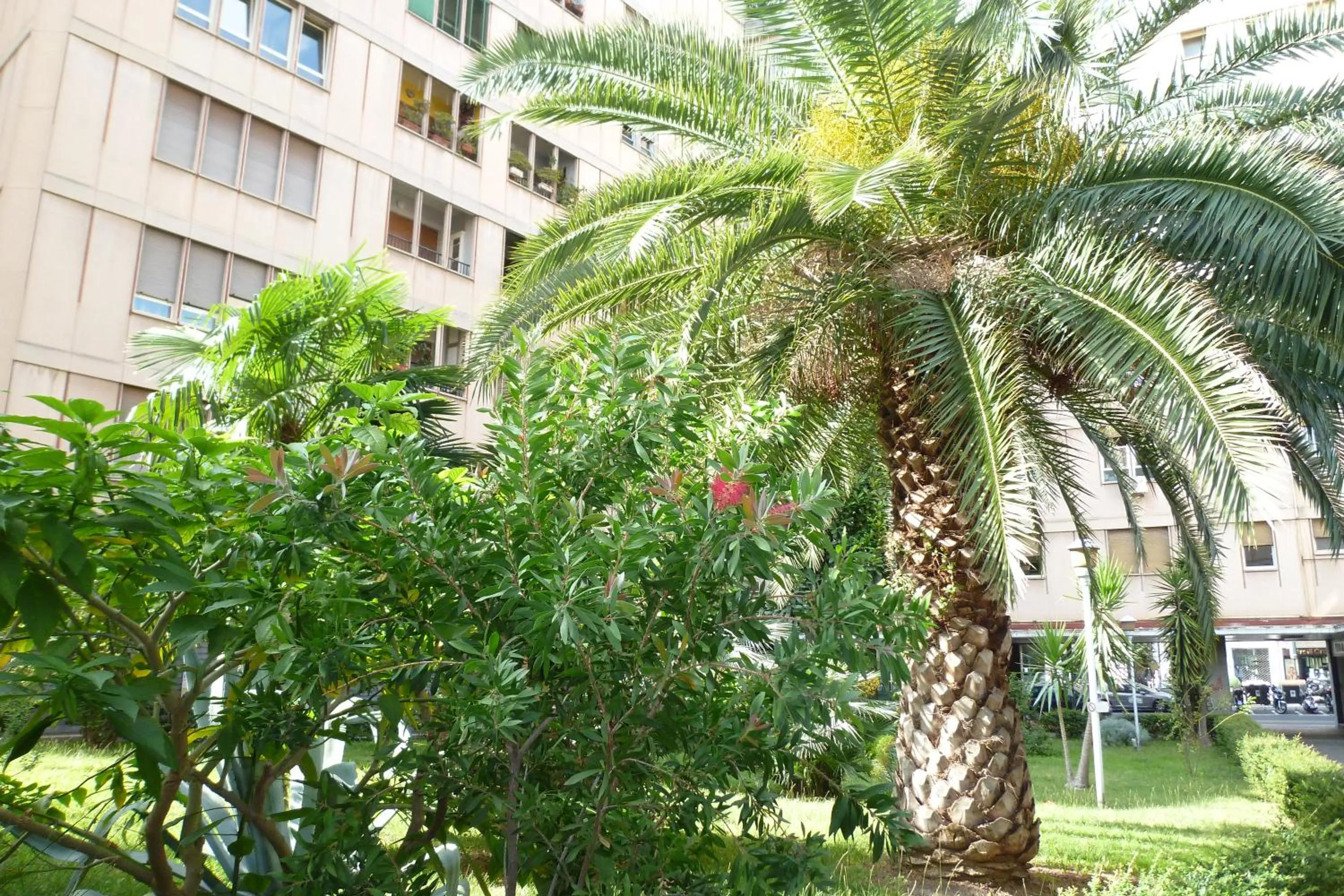 Property building in Viola Accommodation